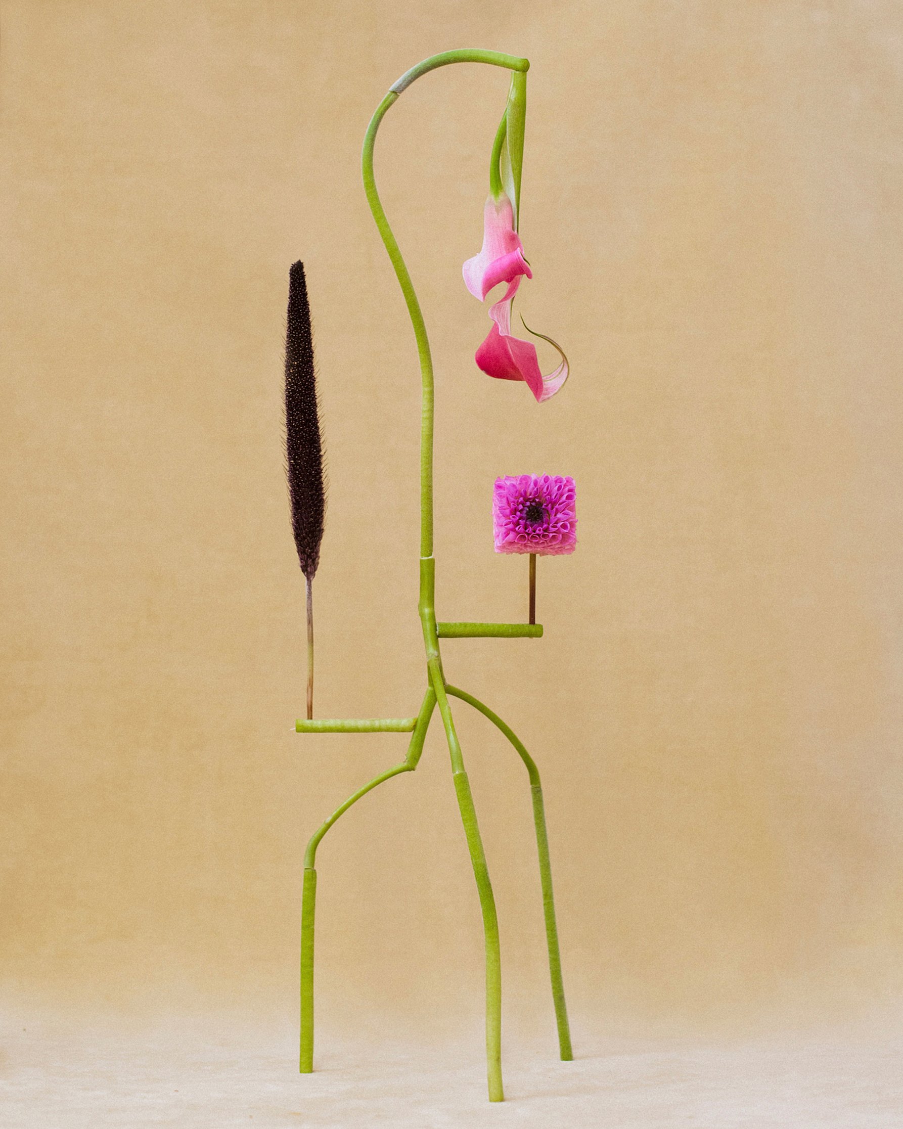 Shapeshifter no6.jpg