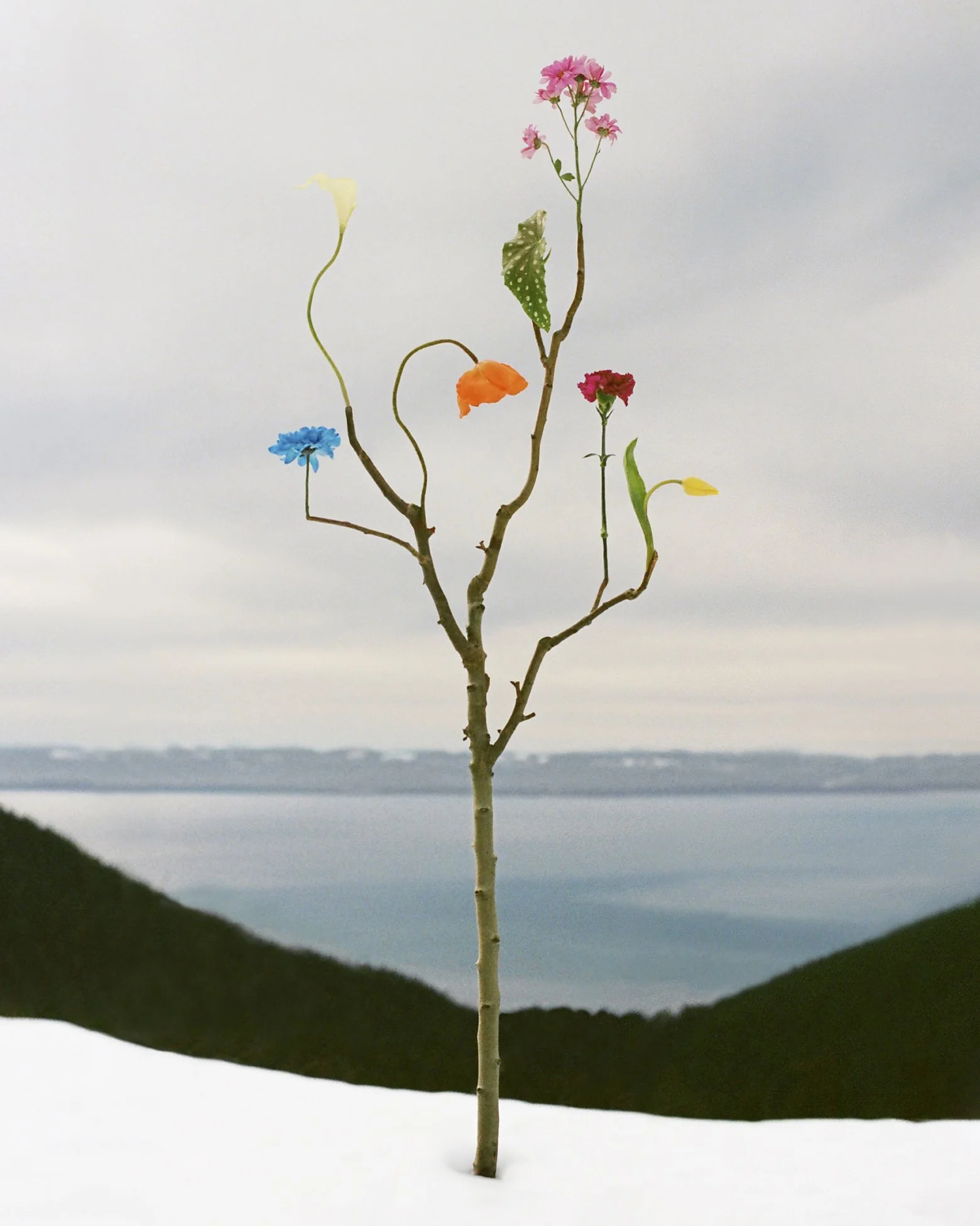 Jennifer Latour