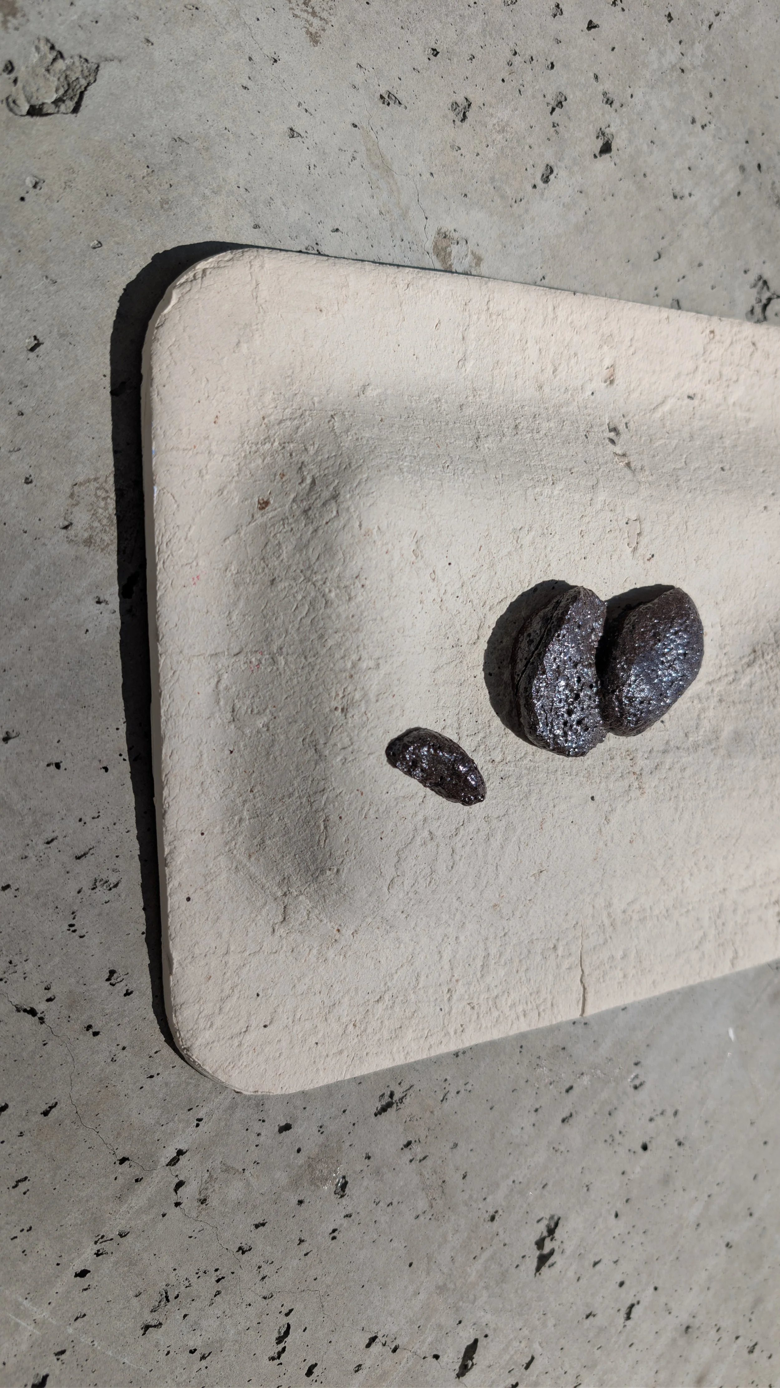 PXL_20260219_235902315.RAW-01.COVER (1).jpg