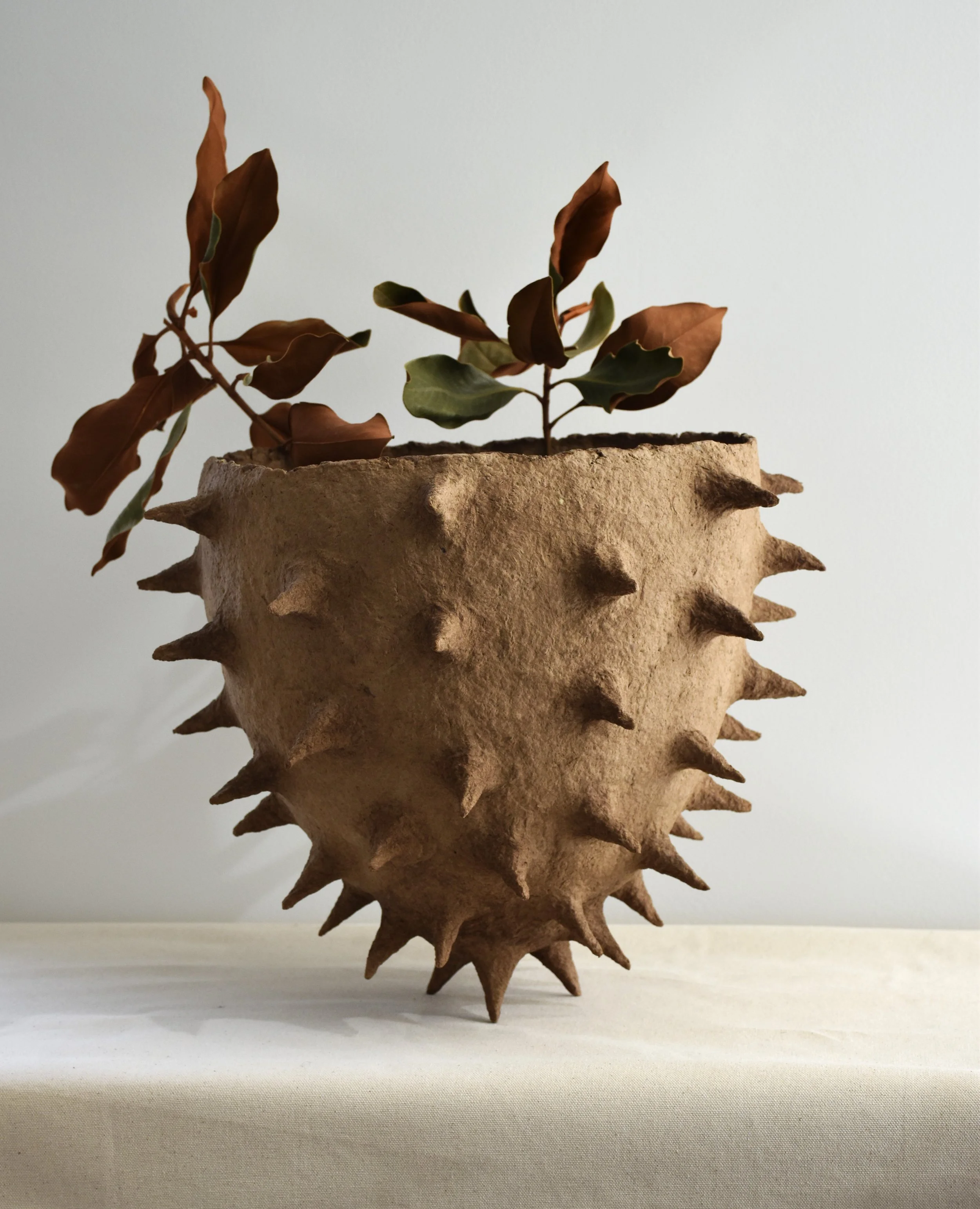 Maya River, Spikey Bowl - DEI, 2024, recycled paper clay, 11.5 x 12.5 x 16  in