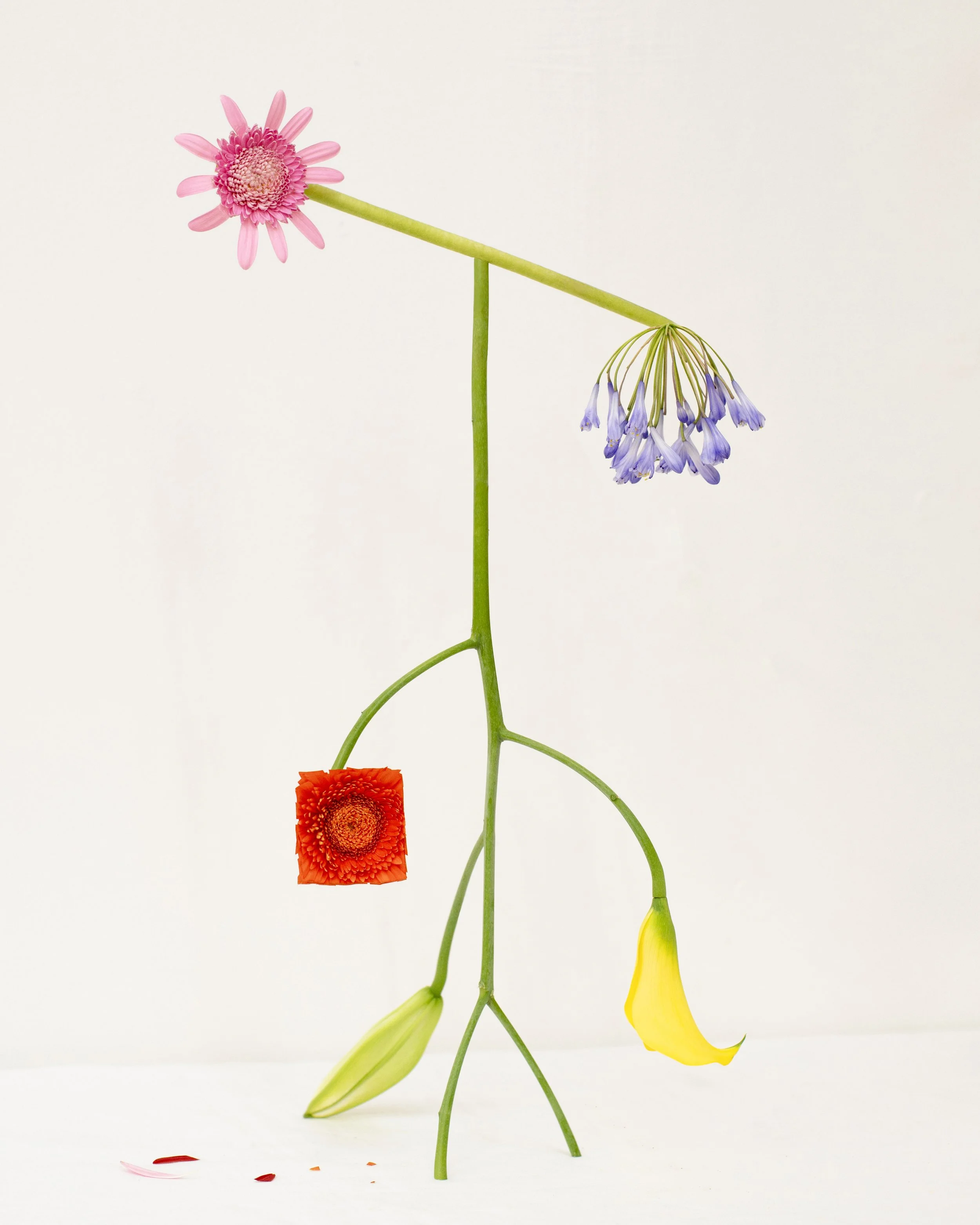 Shapeshifter no22.jpg