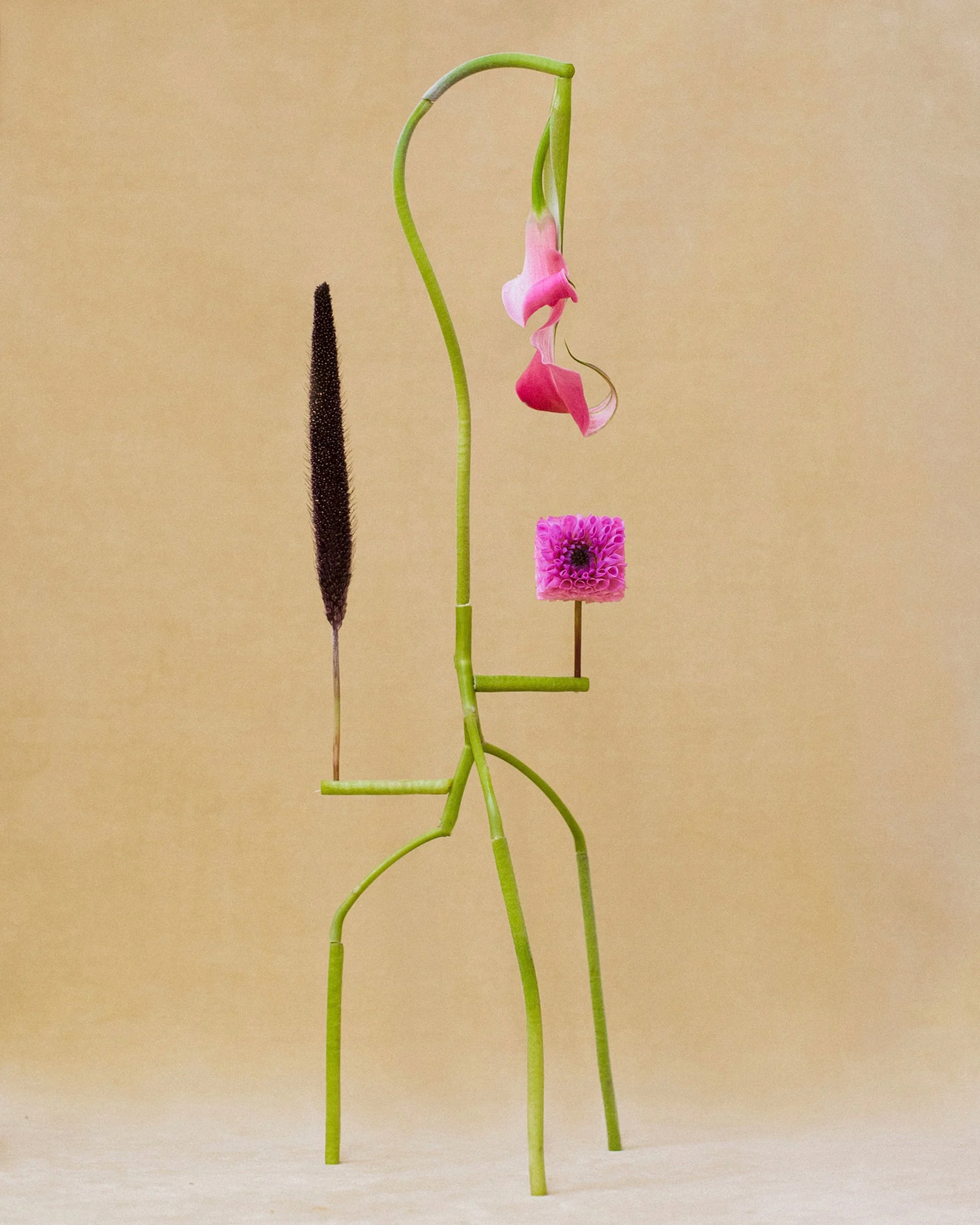 Shapeshifter no6.jpg