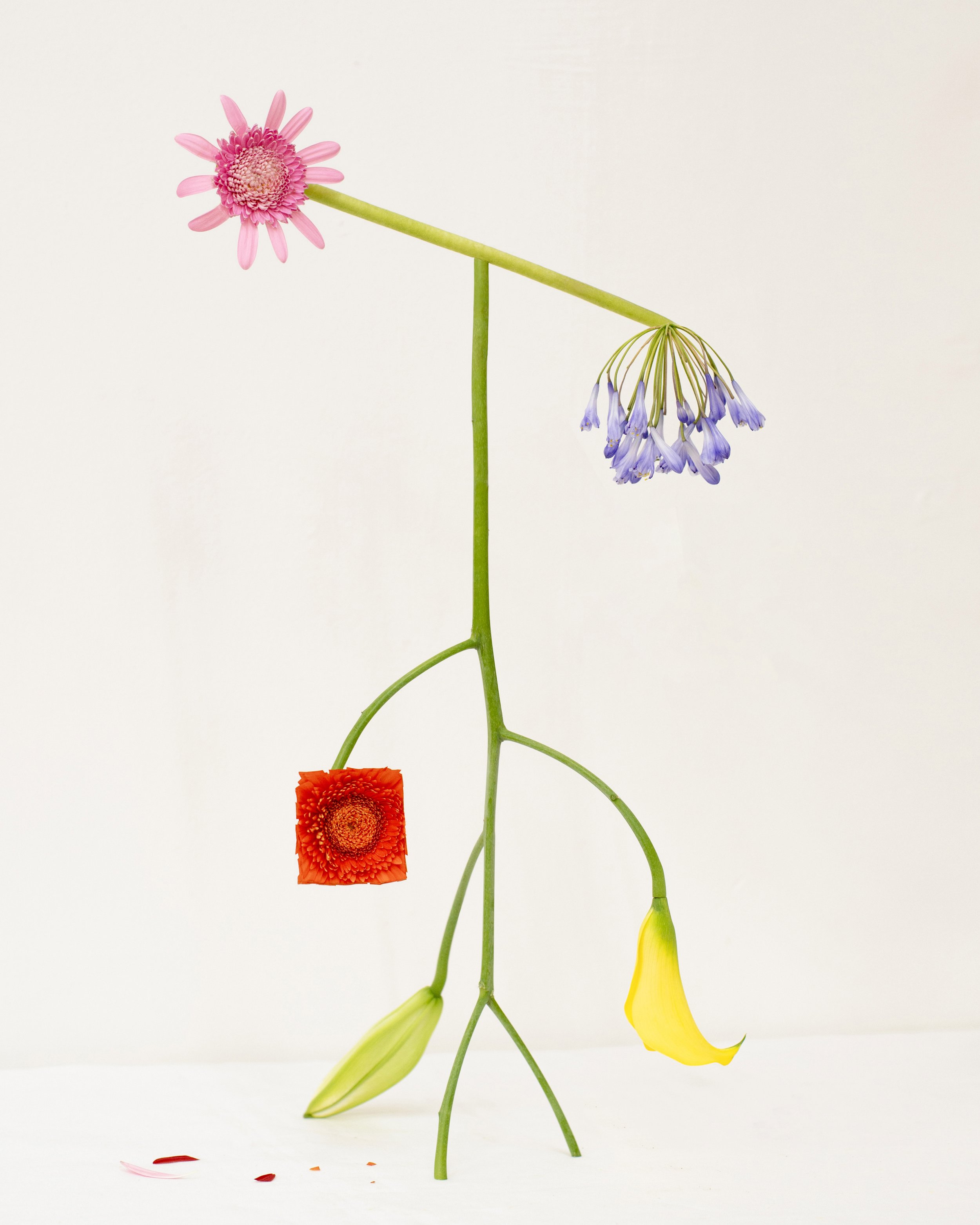 Shapeshifter no22.jpg