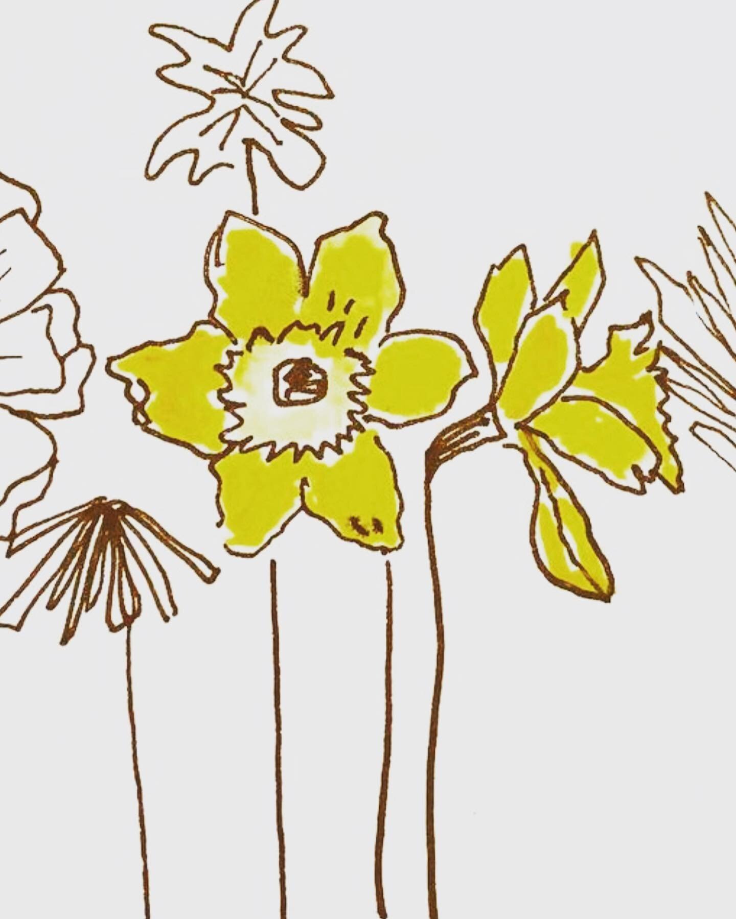 Our daffodils just popped up overnight it feels like! These sunny little flowers are fun to sketch and wave in the wind.
