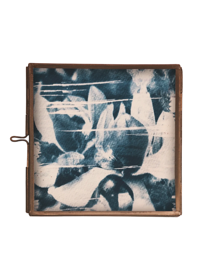 MAGNOLIA, 2025 | cyanotype on paper