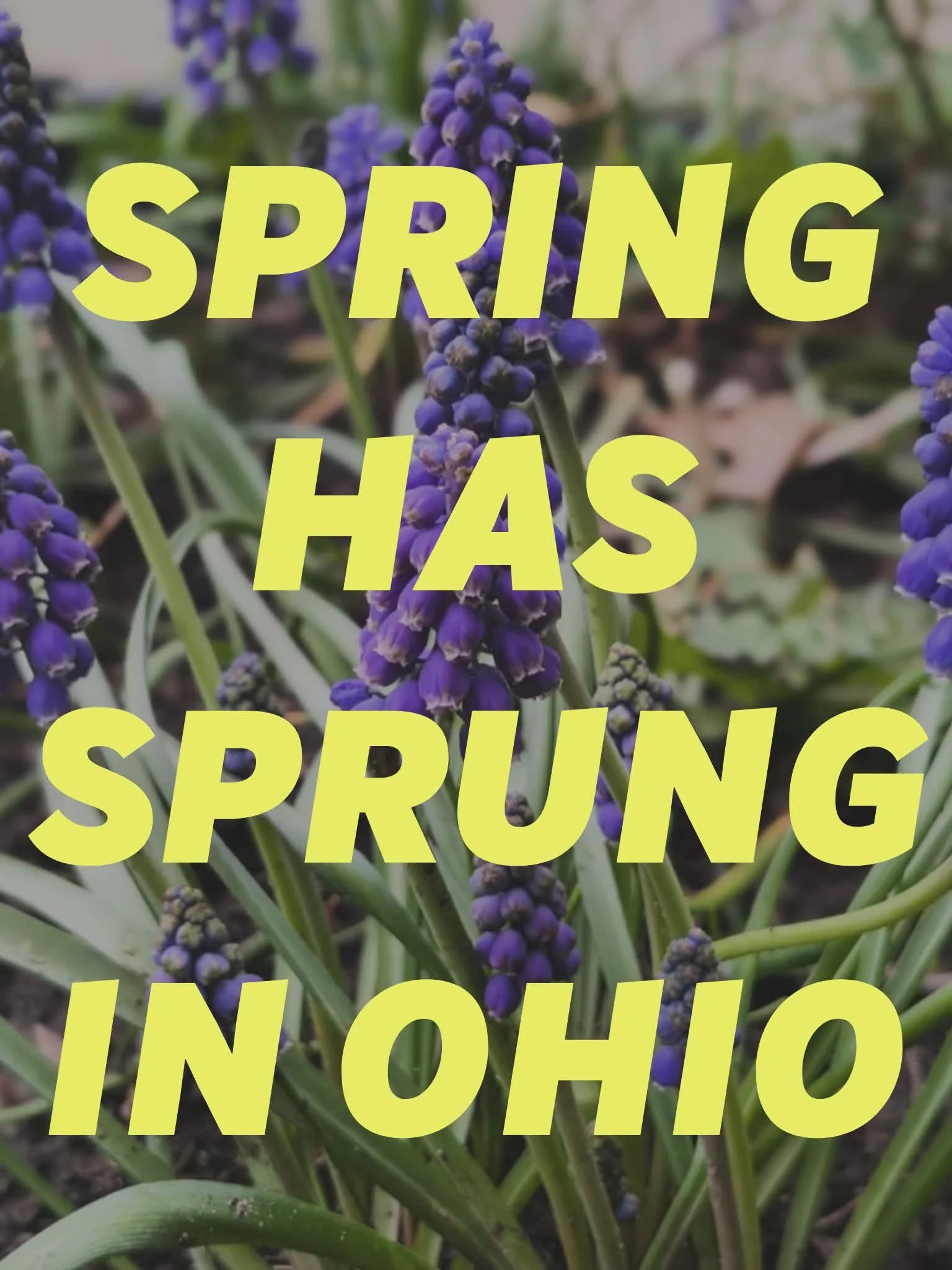 Spring has sprung in Ohio!