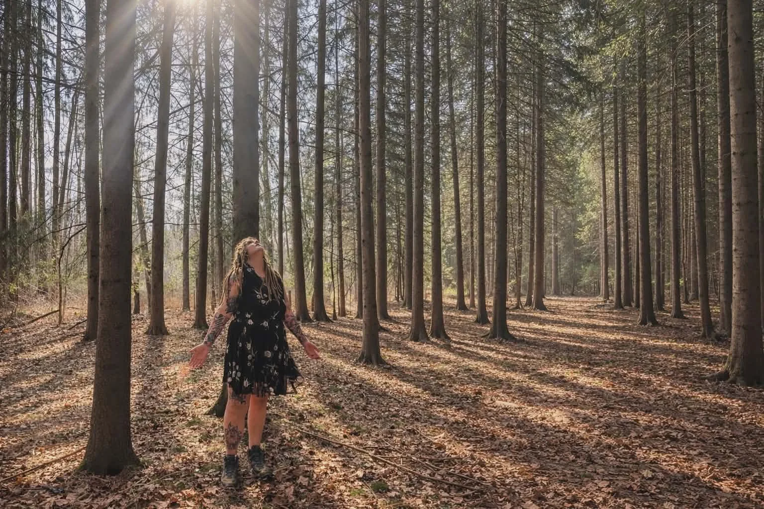 My favortite pines in Portage County.