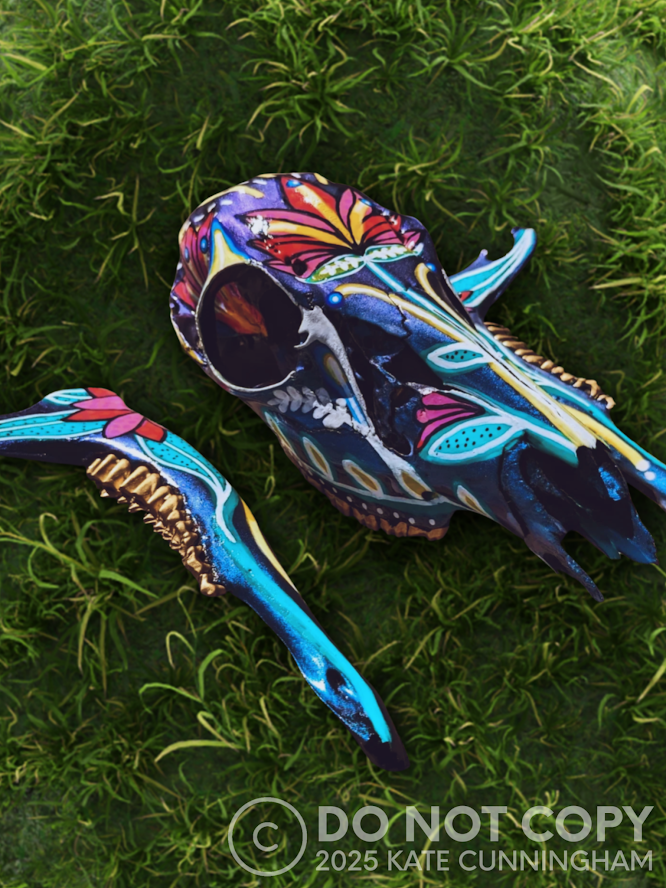 Deer Skull #1, 2024 | acrylic on skull