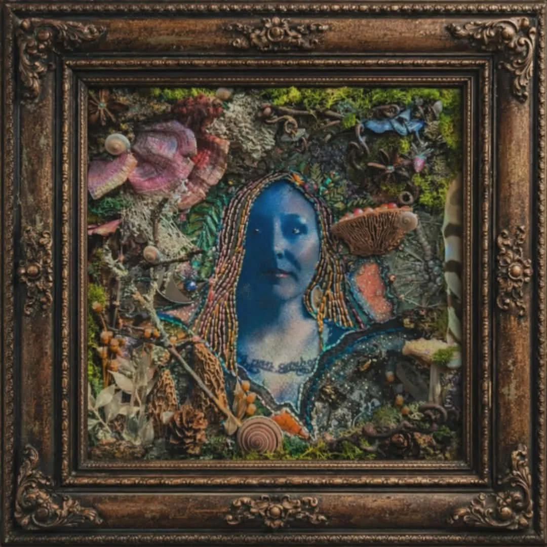 KATE, 2026 | cyanotype & multimedia