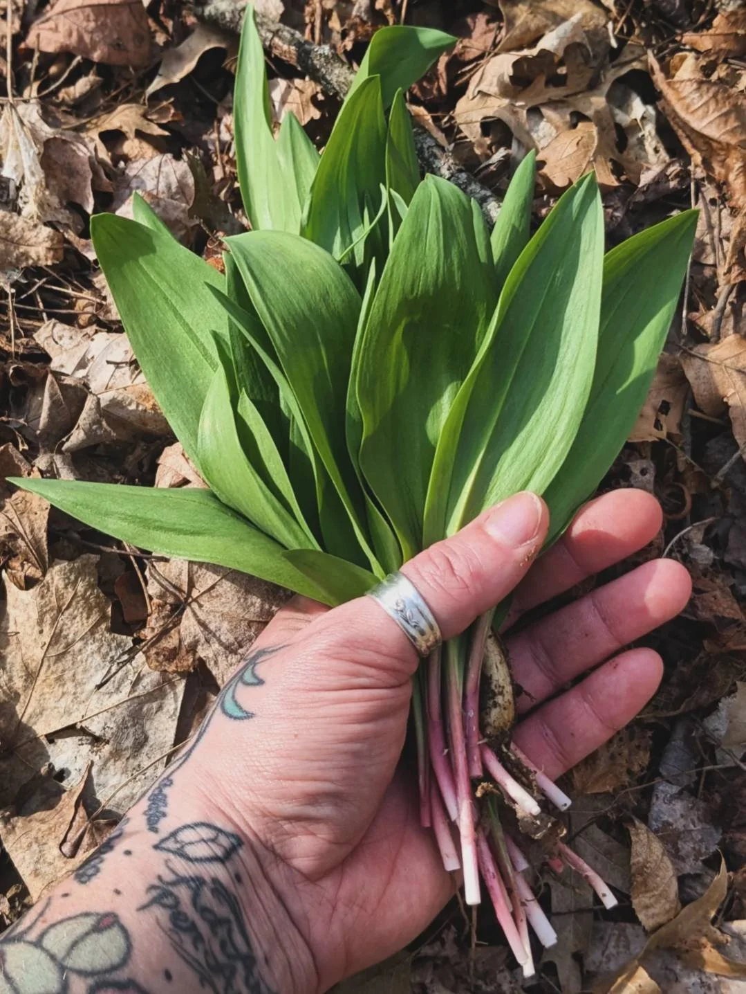 Ramps