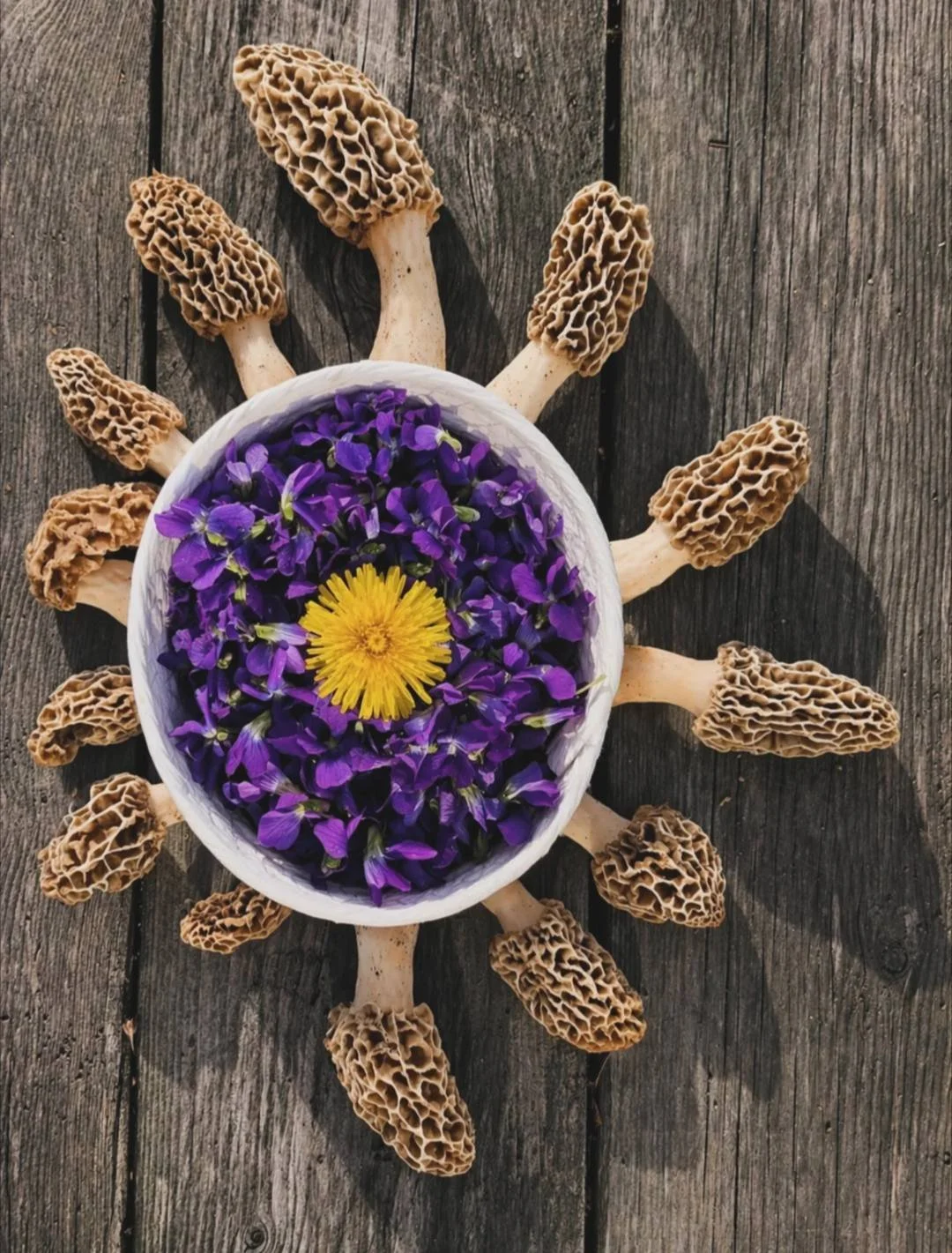 Morels, Wood Violets & Dandelion