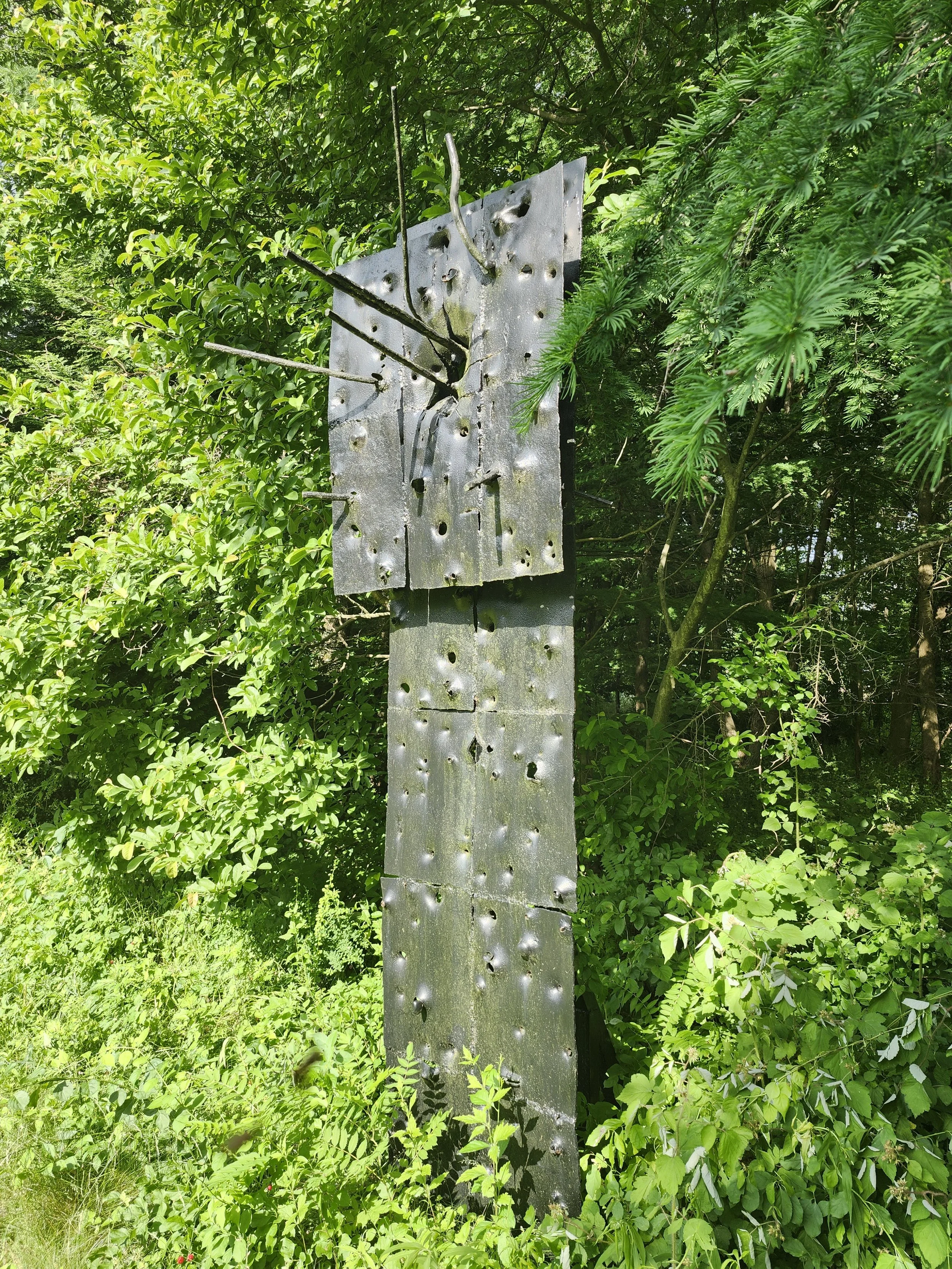 20240607_165925.jpg