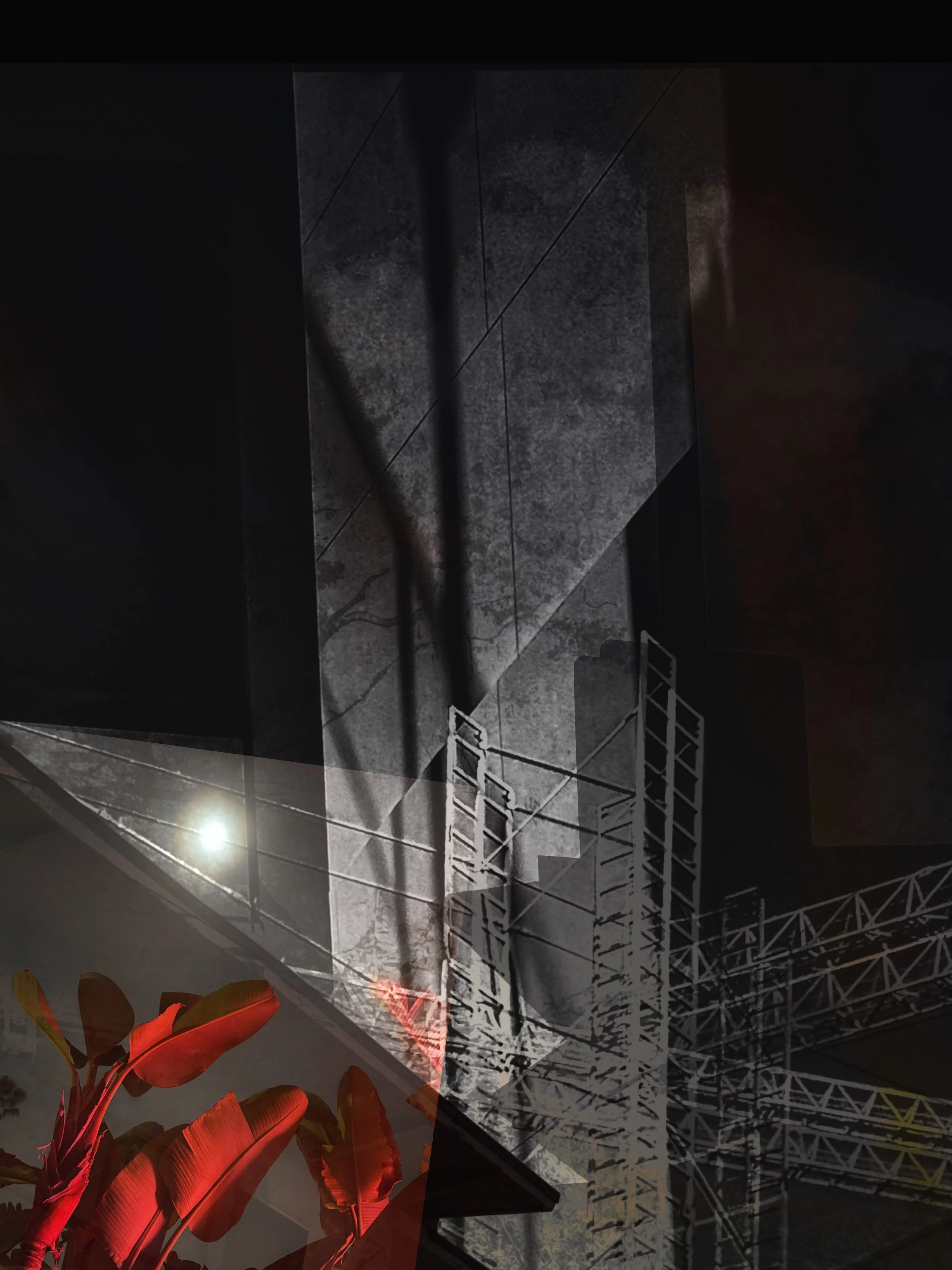 IMG_5672_SnapseedCopy 2.jpg