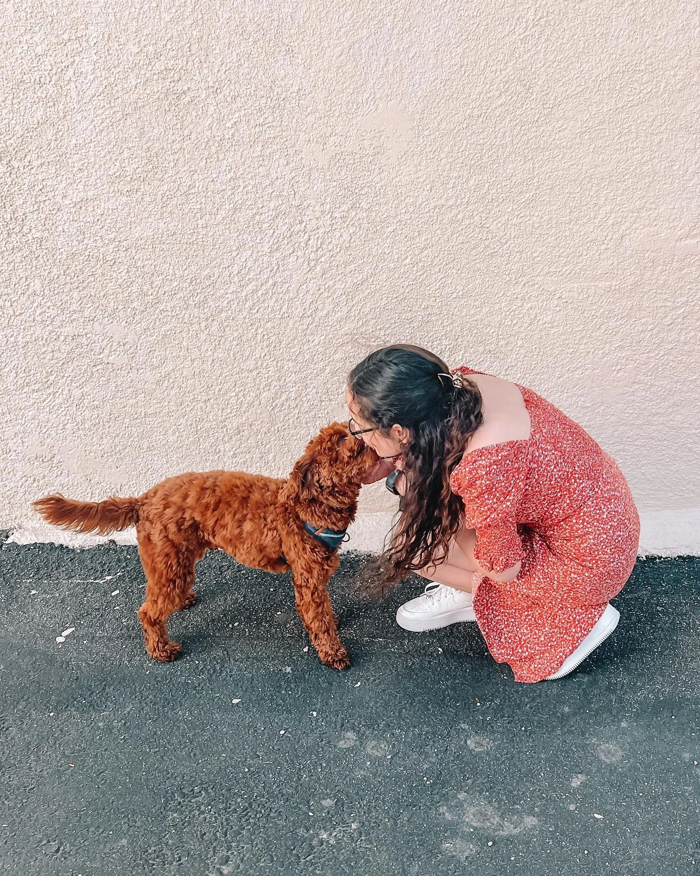puppy love 🤍