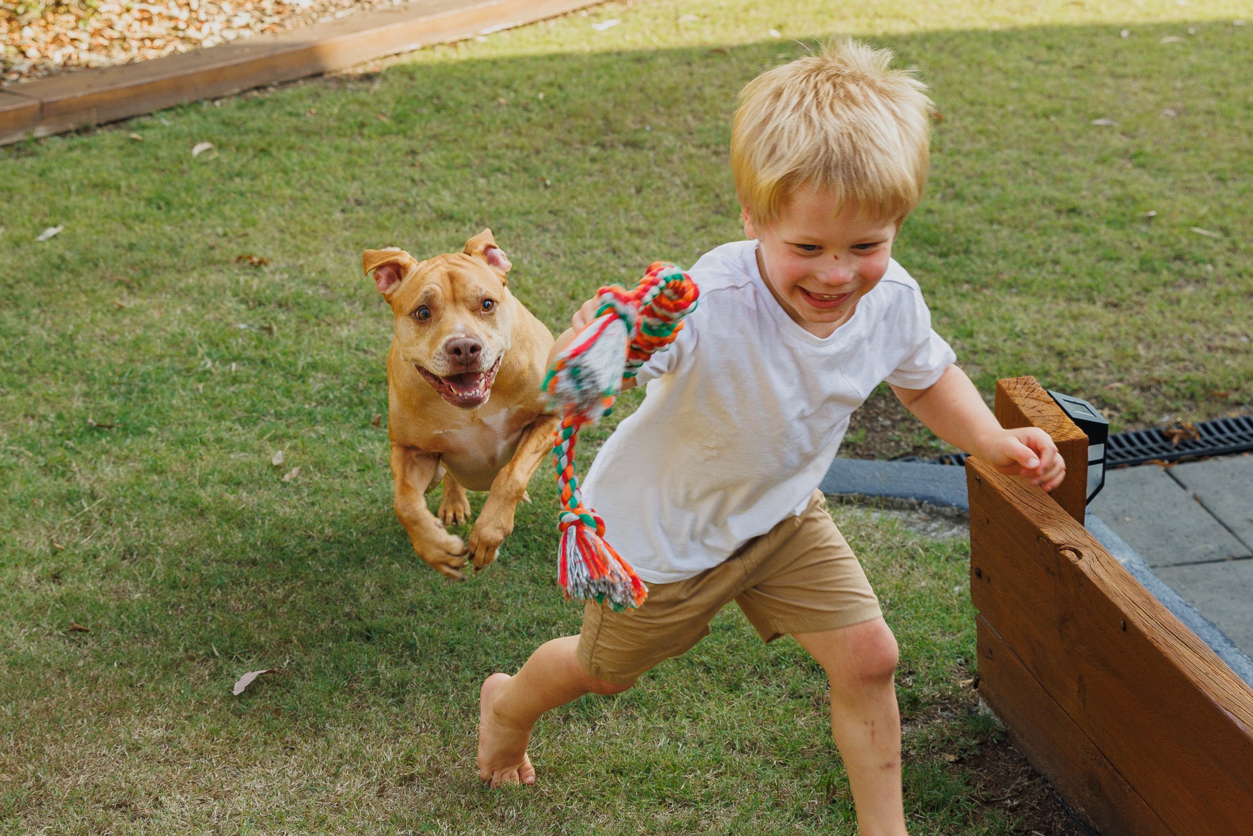 The Real Bullies_Ella & Franklin_2023-2.jpg