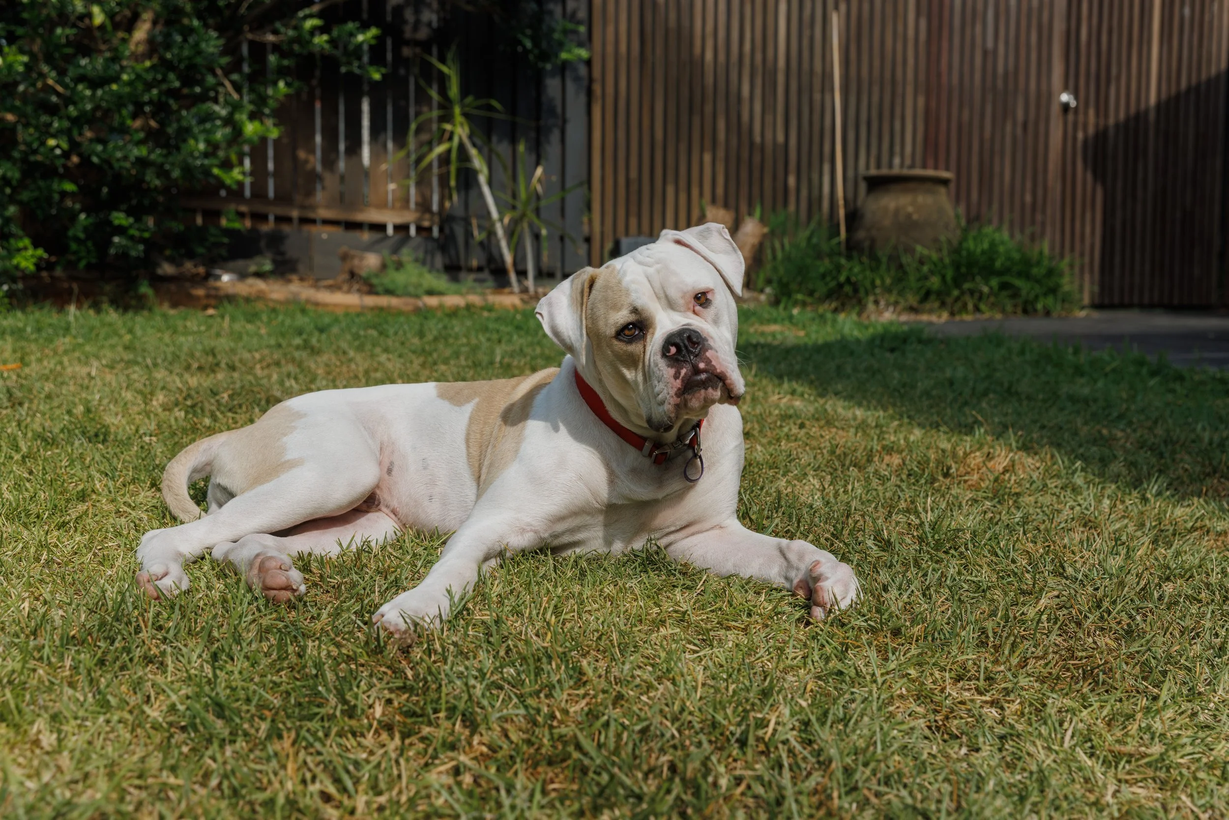 The Real Bulles_Keith-6.jpg