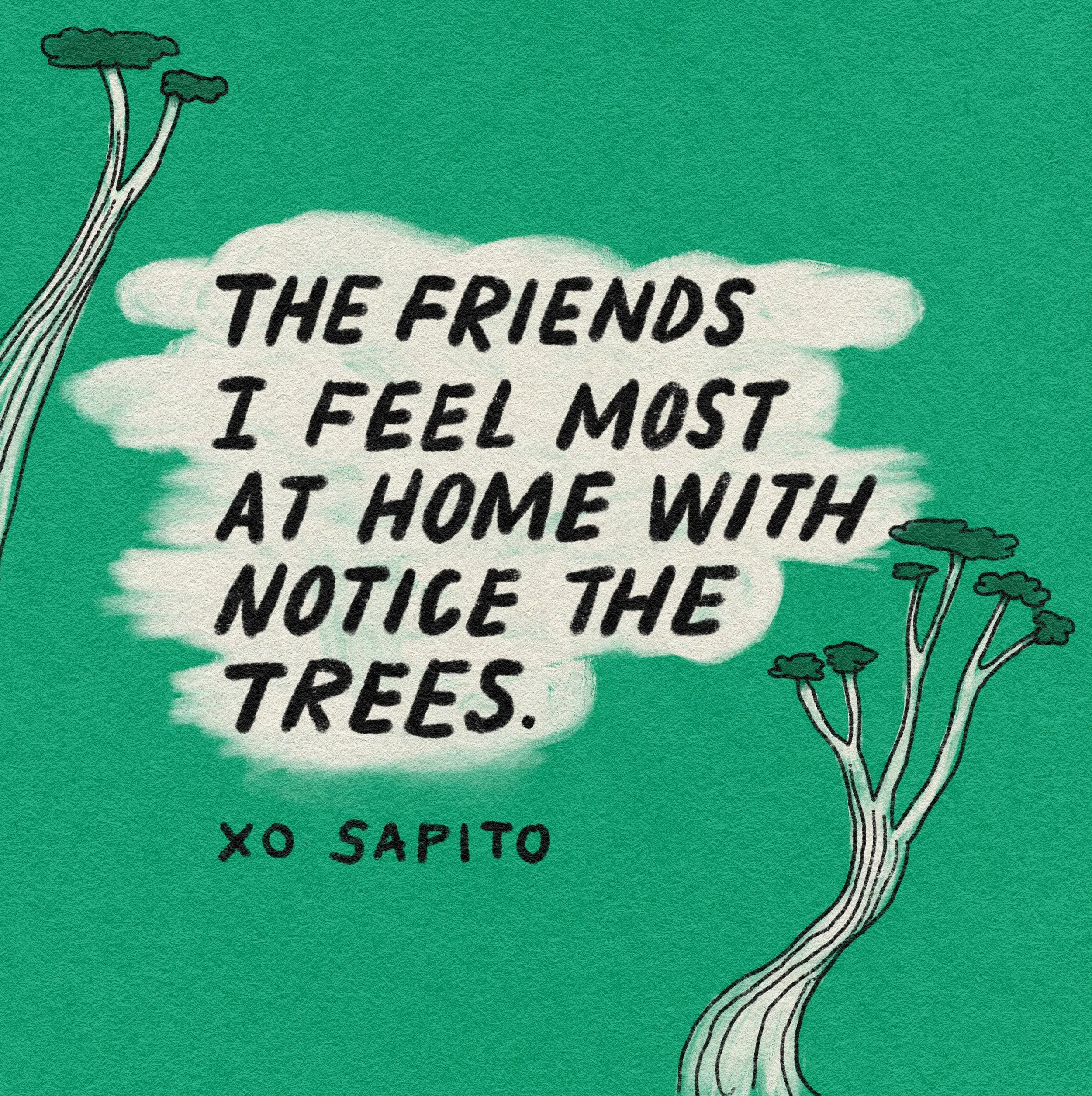 Sapito-thefriendstrees.jpg