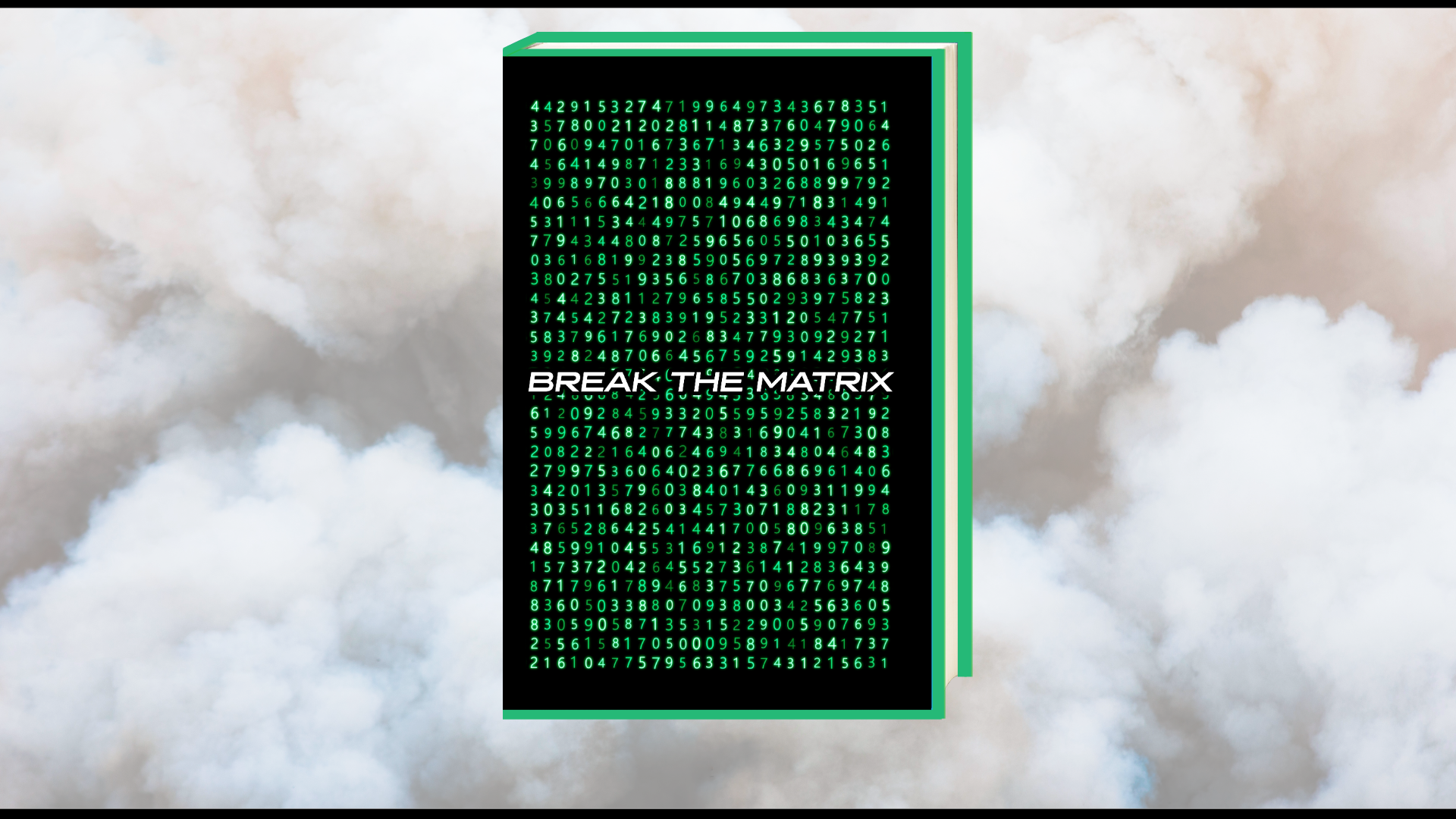 btm site pic.png