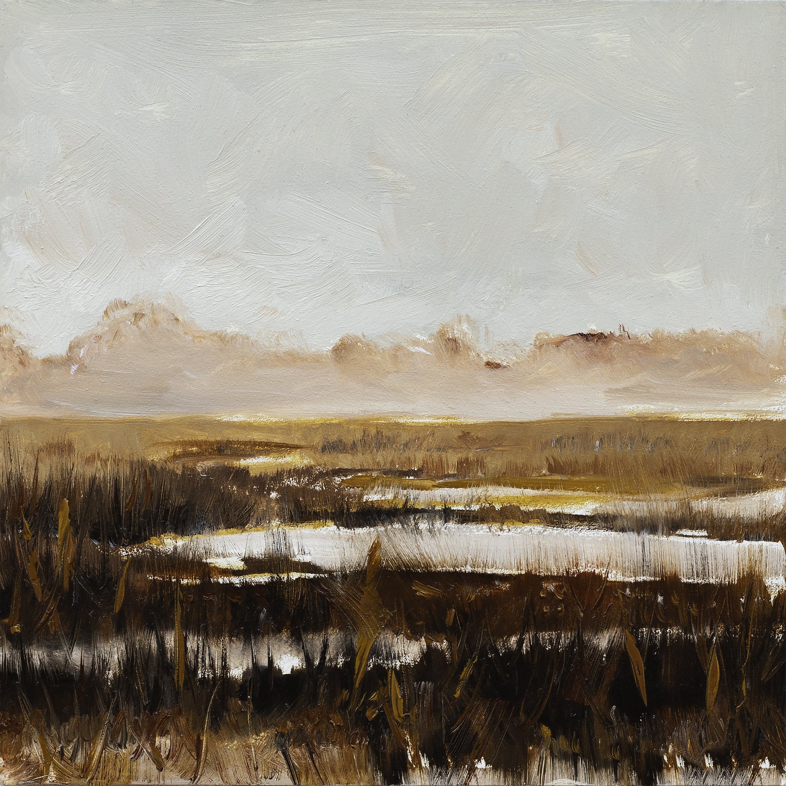 Pink Marsh 6x6 .jpg
