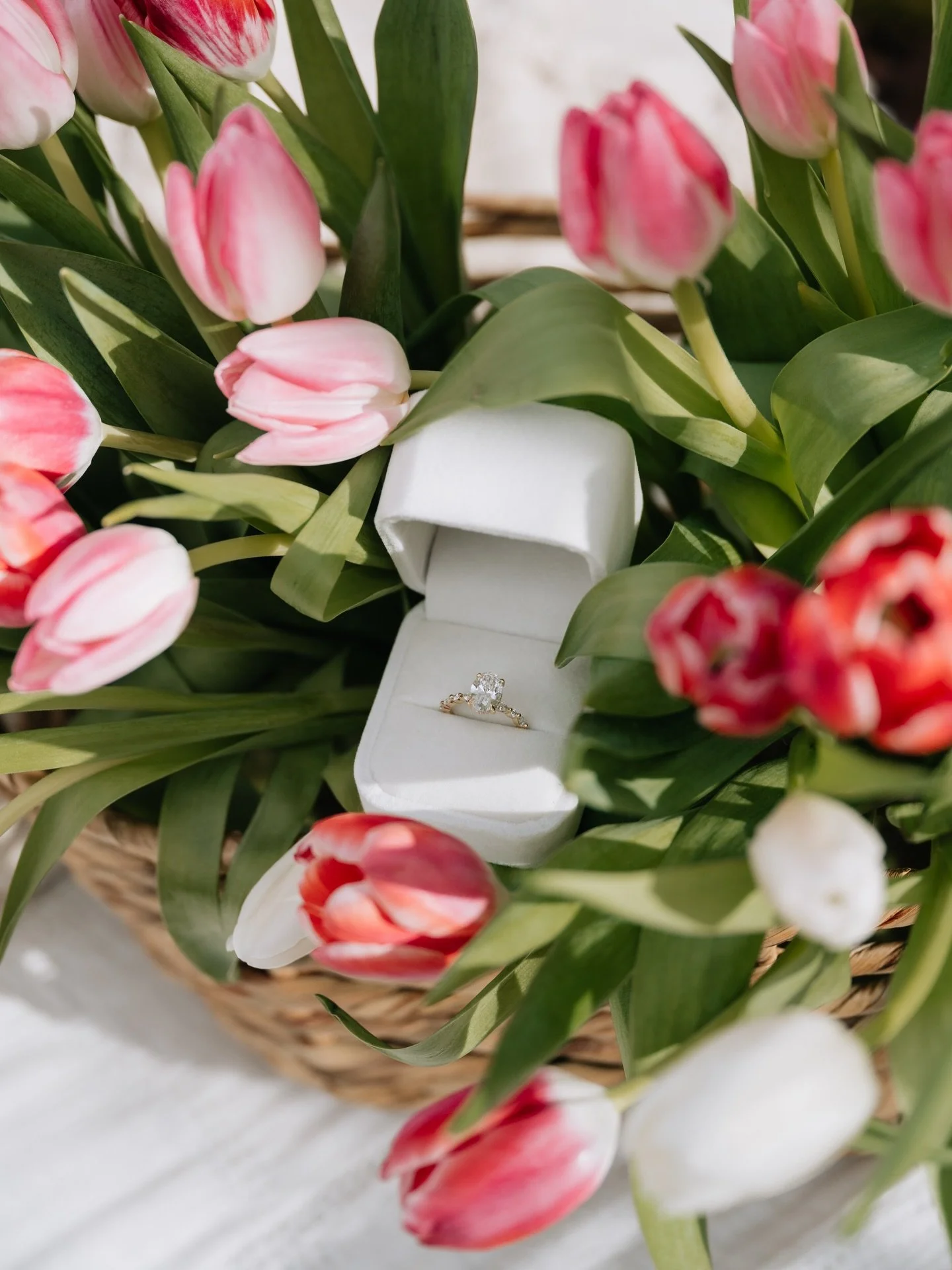 Today is for pink, red, &amp; flowers only! Consider this my digital valentine xoxo💌💐