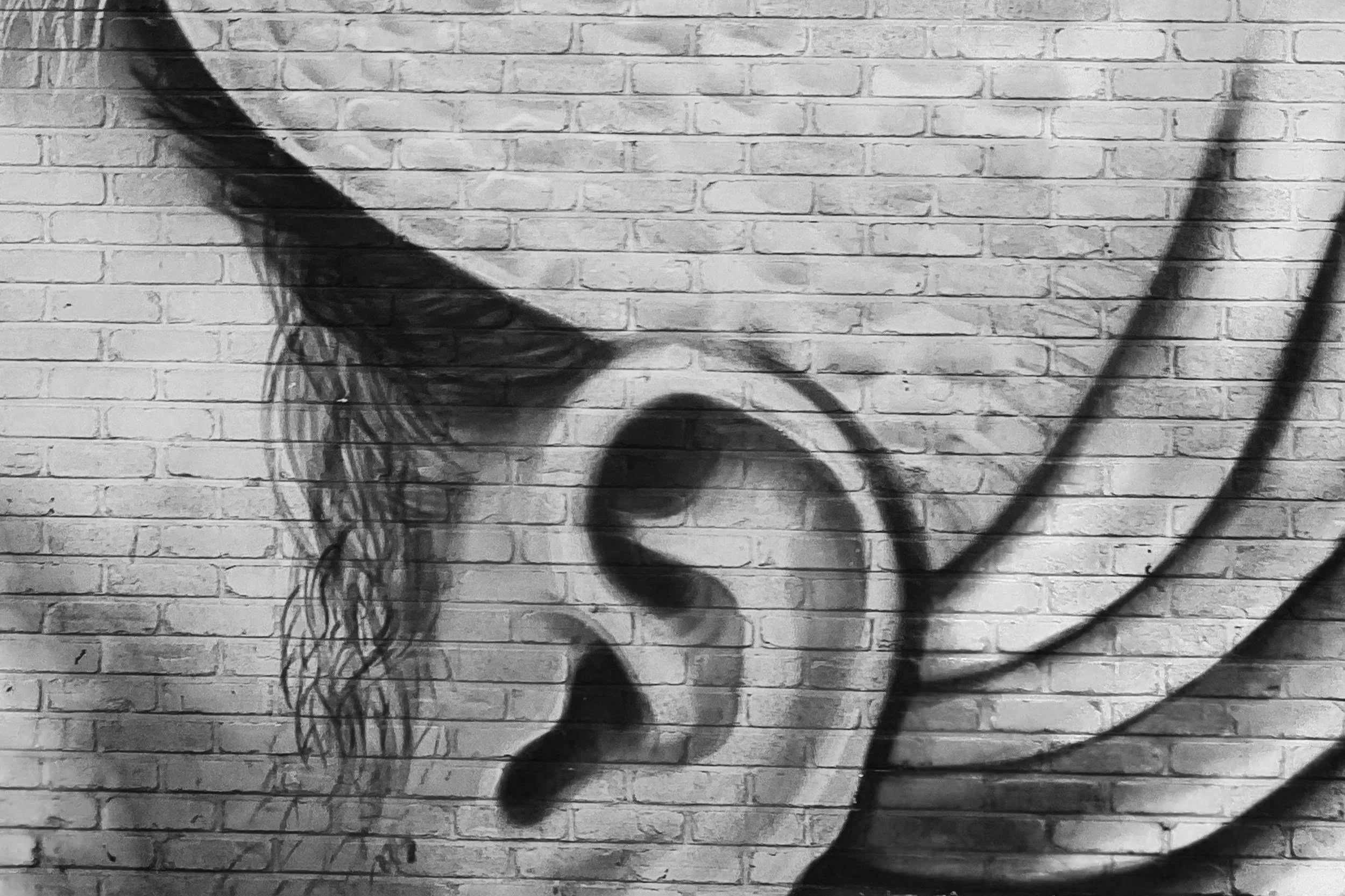 what is tinnitus deane audiology