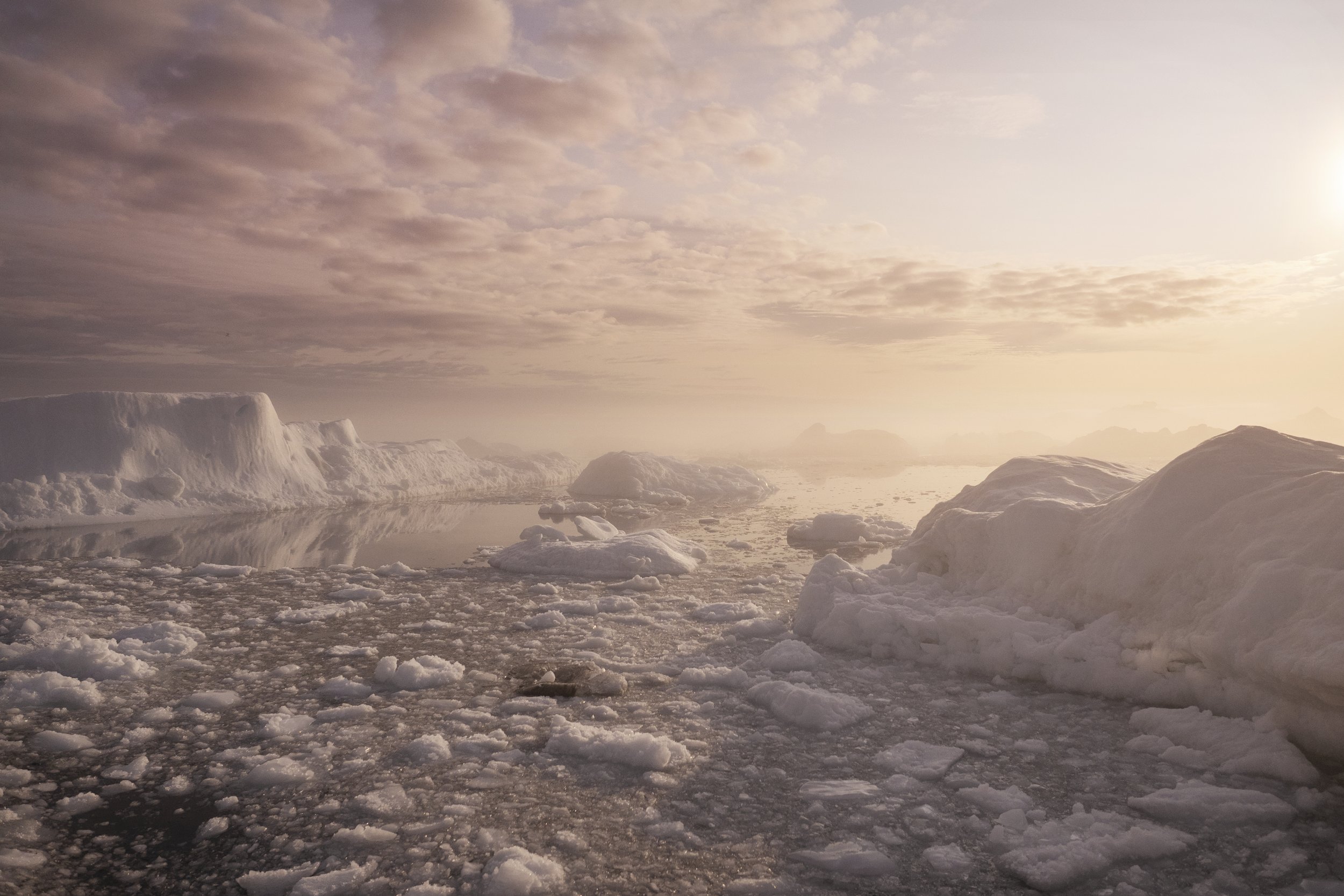 A polar landscape with icebergs and ice floes, reflecting in calm water under a partly cloudy sky during sunset or sunrise.