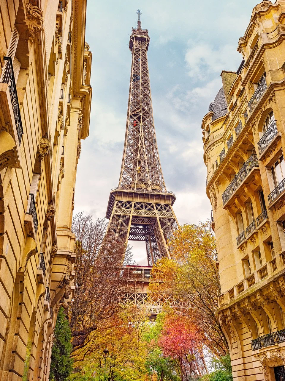 Autumn Splendor à Paris.jpeg