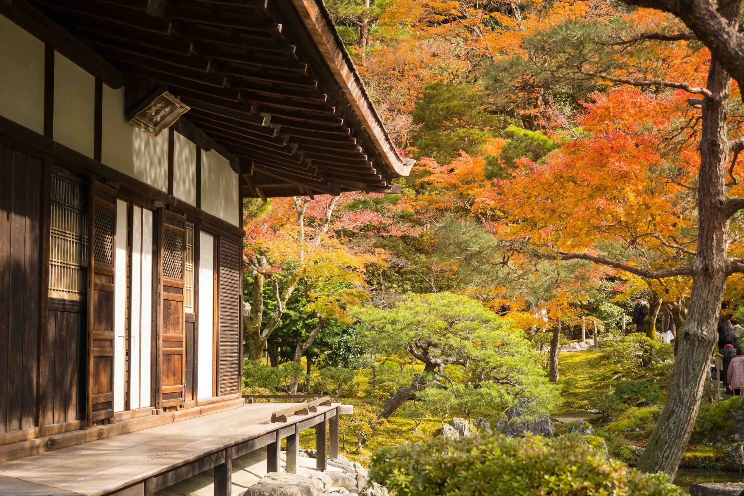 A traditional Japanese wooden building with a wooden porch on the left side, surrounded by colorful autumn trees with red, orange, yellow, and green leaves, in a serene garden setting.