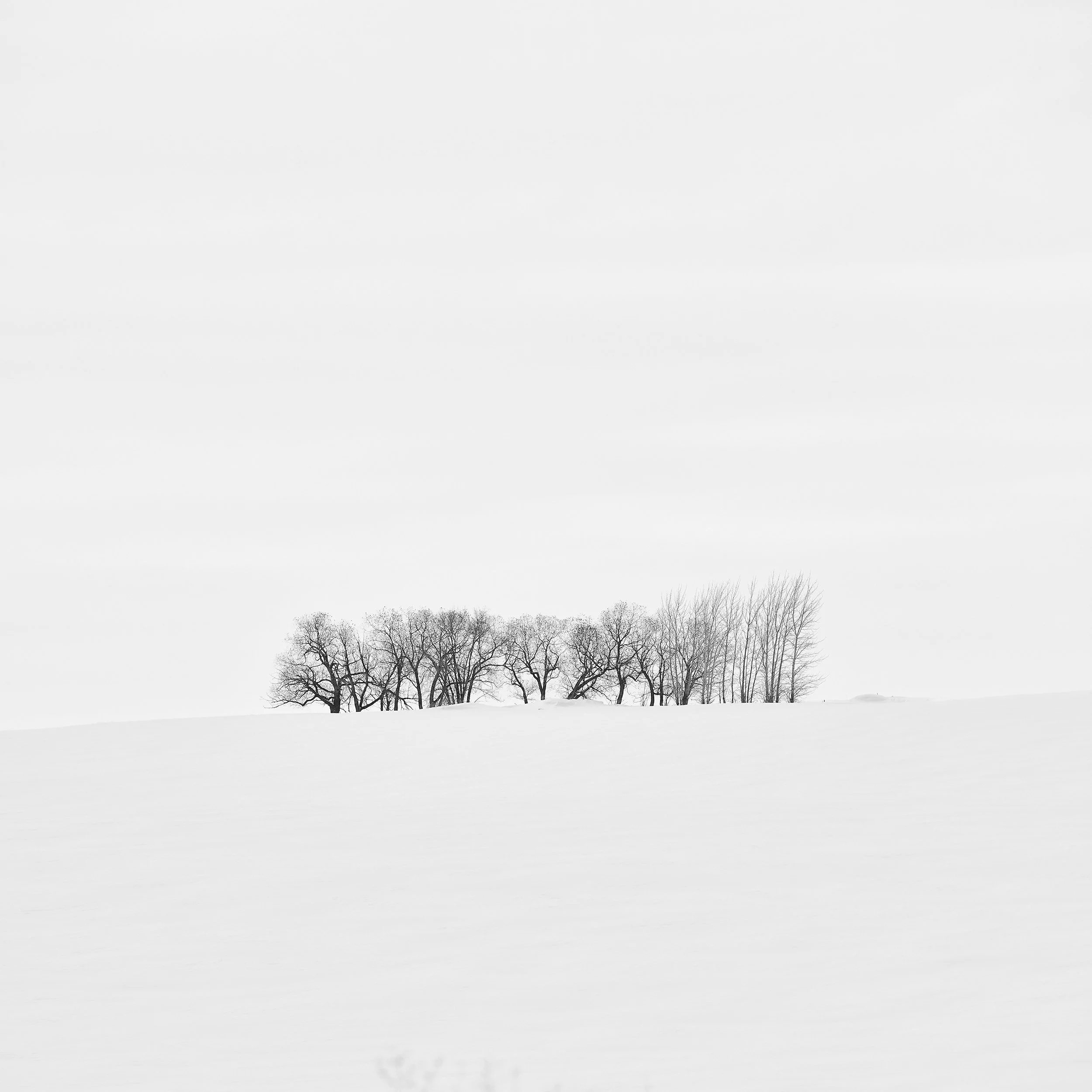 CHANGNiall-Landscape-04.jpg