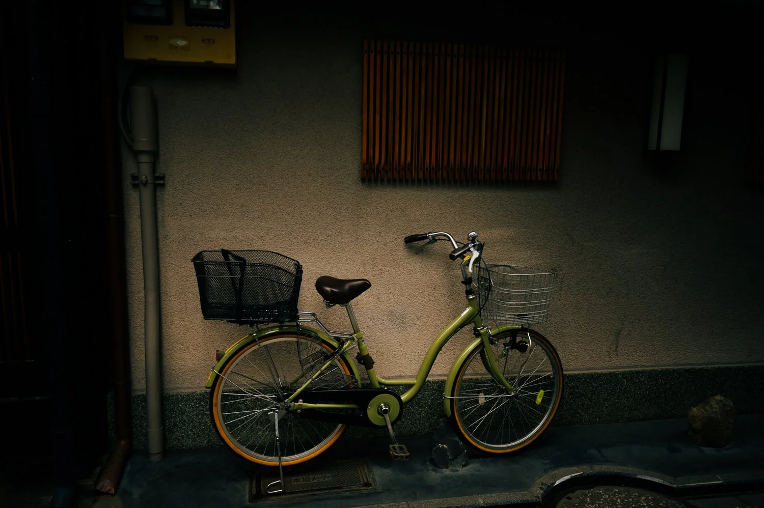 cindycavanaghkyoto-9090.jpg