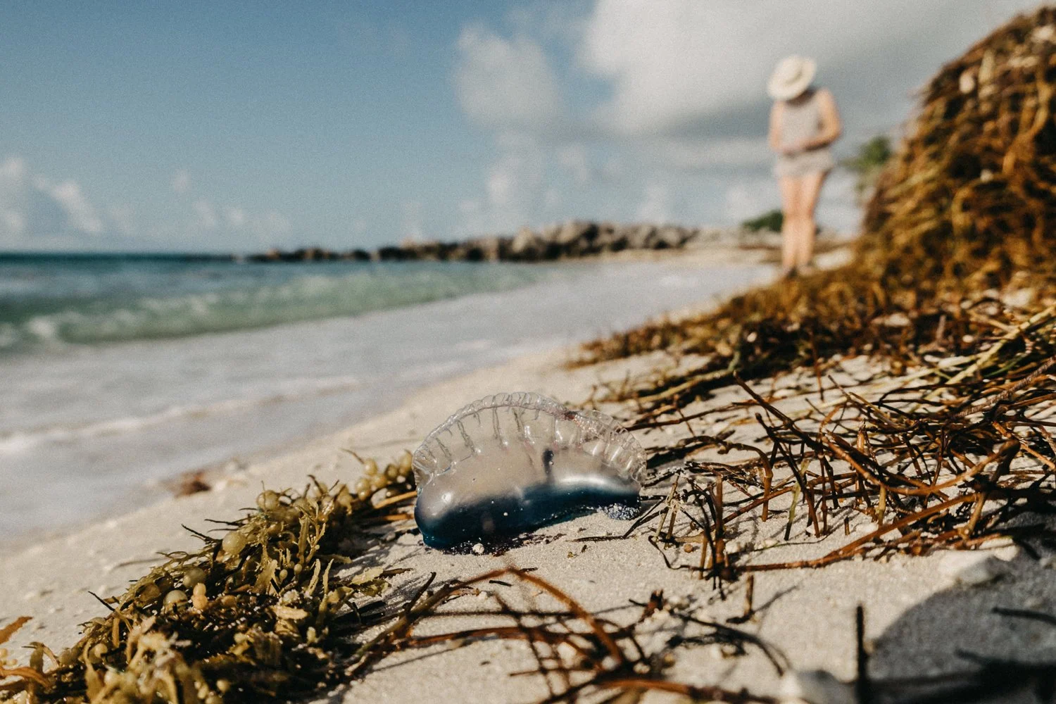 Wanderinglens_Interview (15 of 15).jpg