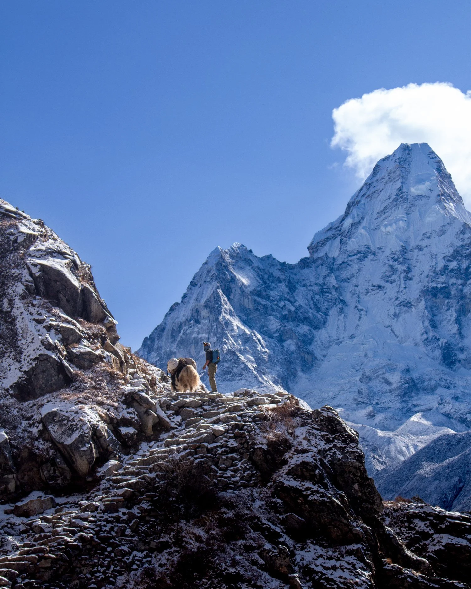 Ainslie Holland, Australia