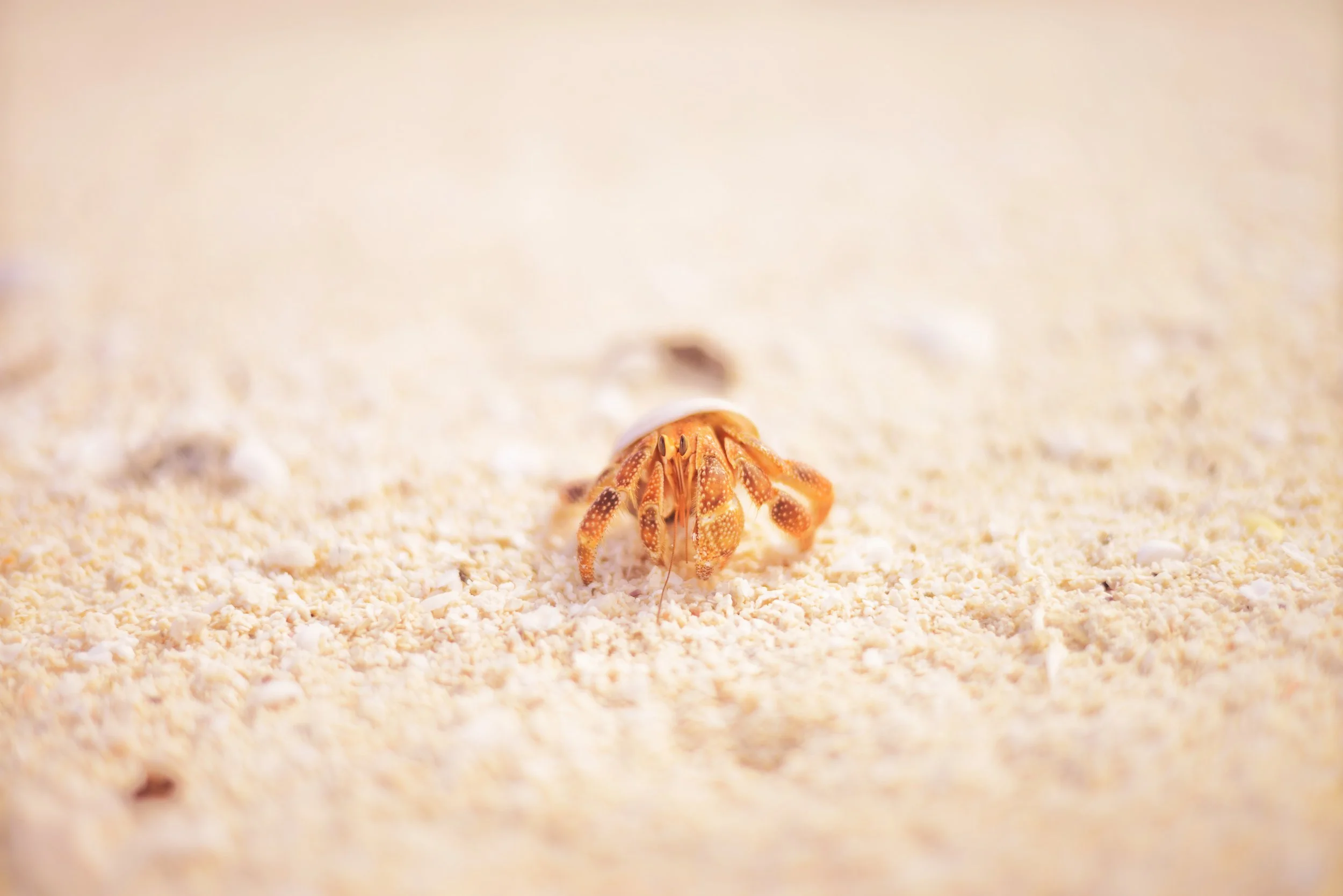 Bryce Canyon Photography Locations-68.jpg