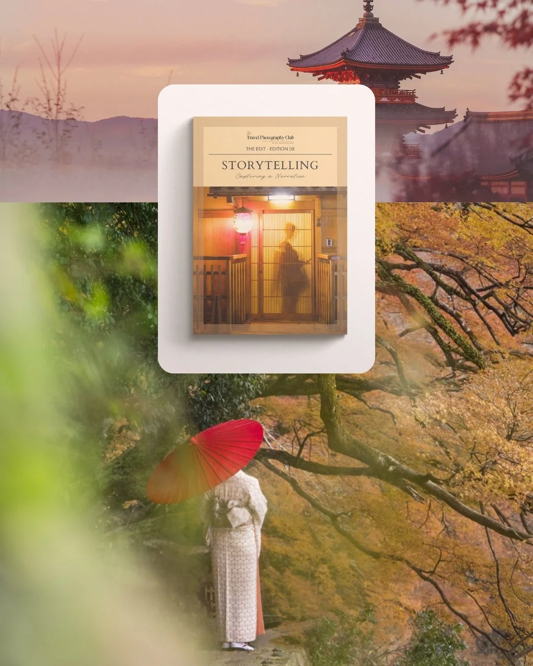 Workbook Covers (4).jpg