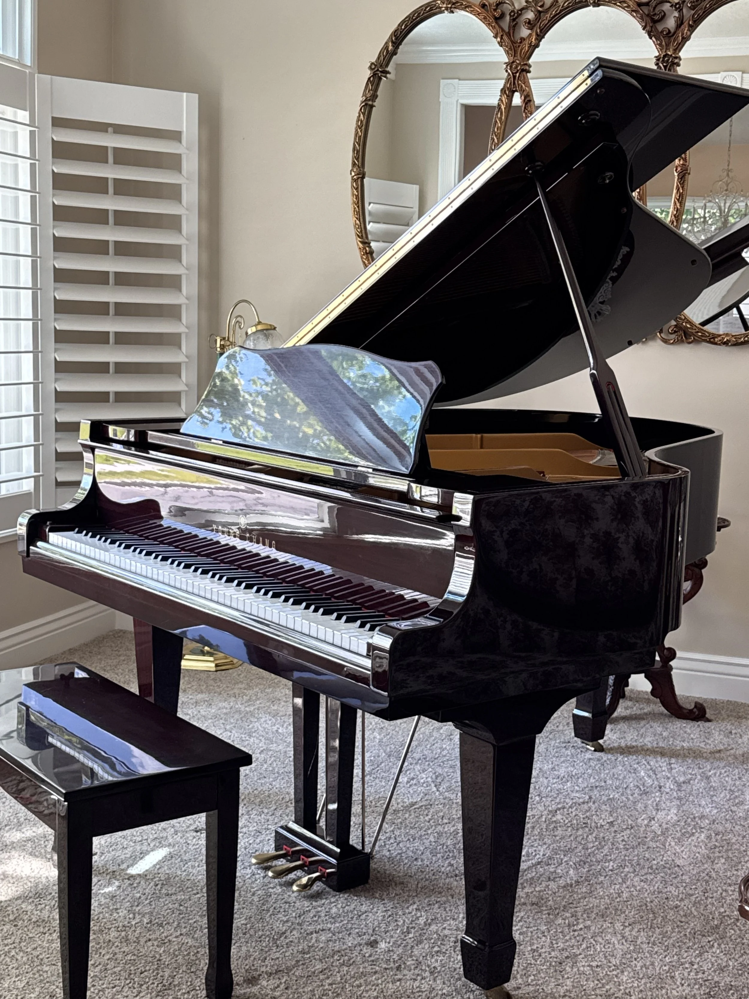Young Chang 
Model G-175
5 foot nine inch grand piano