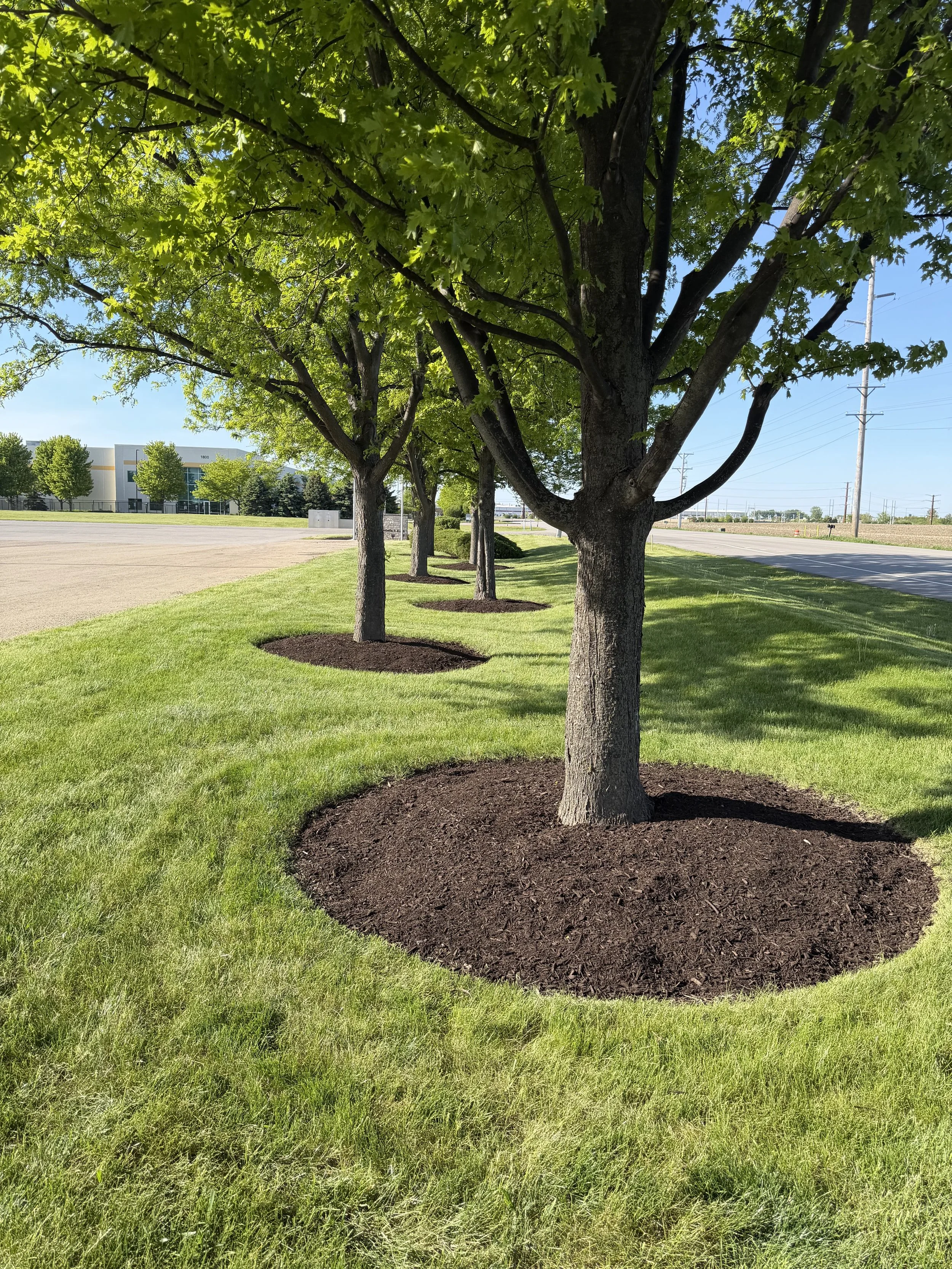 landscape maintenance and mulching