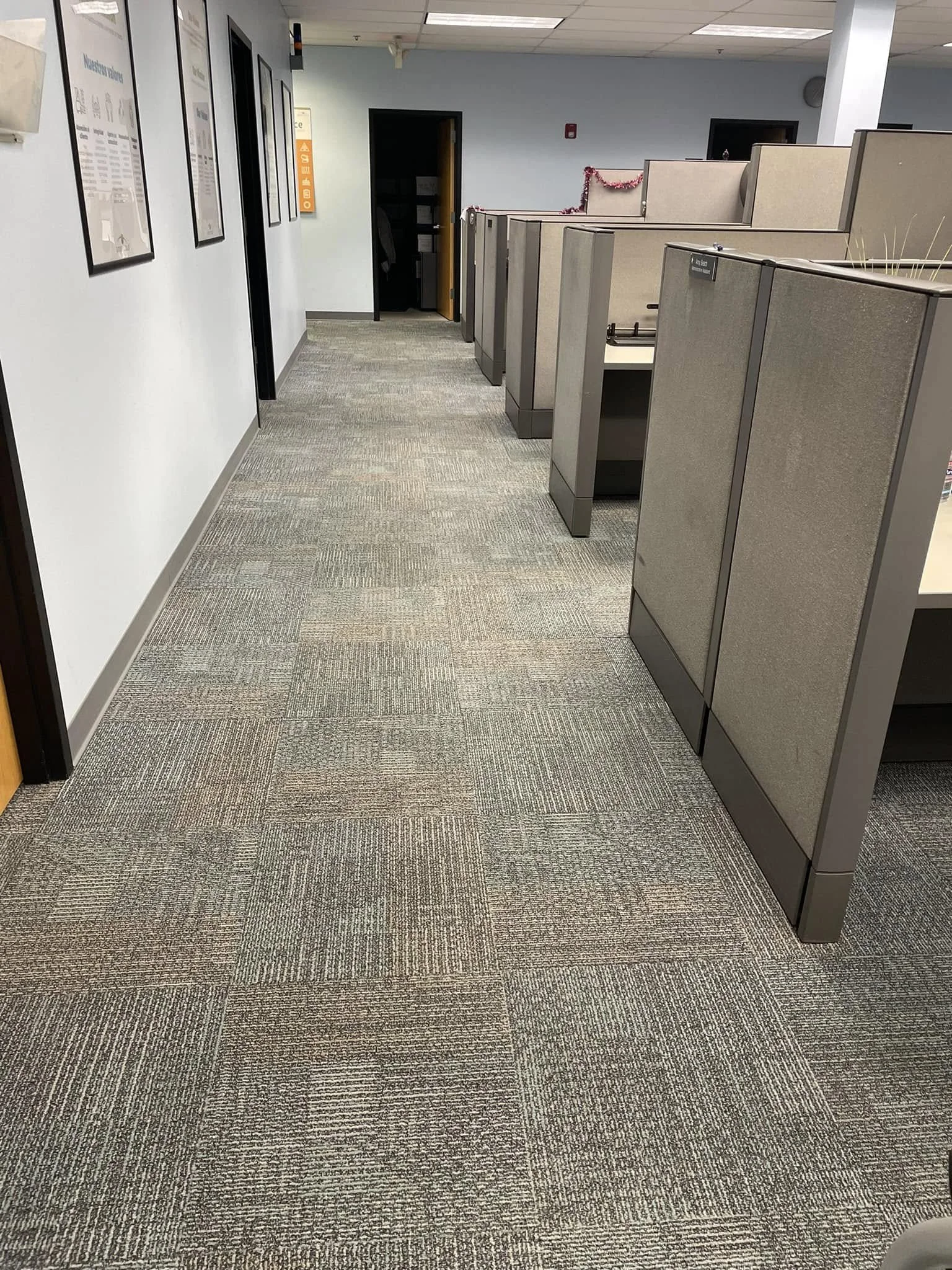 office space cleaning, carpet and floor cleaning