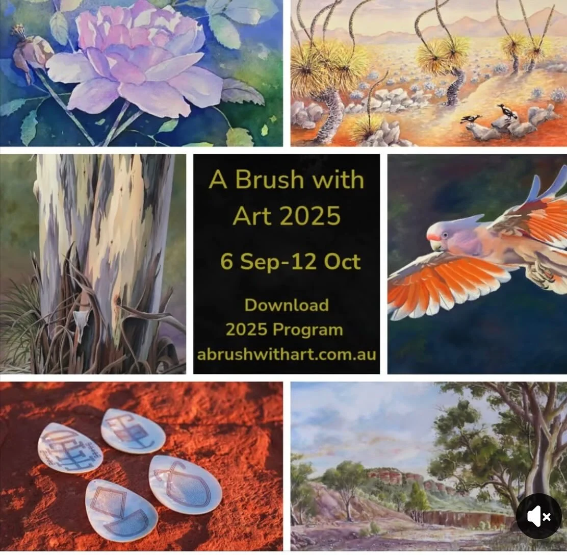 https://www.facebook.com/share/175wbRvXDt/?mibextid=wwXIfr&amp;direct_share_include_copy=1&amp;fb_entity_type=newsfeed 😃check it out. #flindersrangesabrushwithart