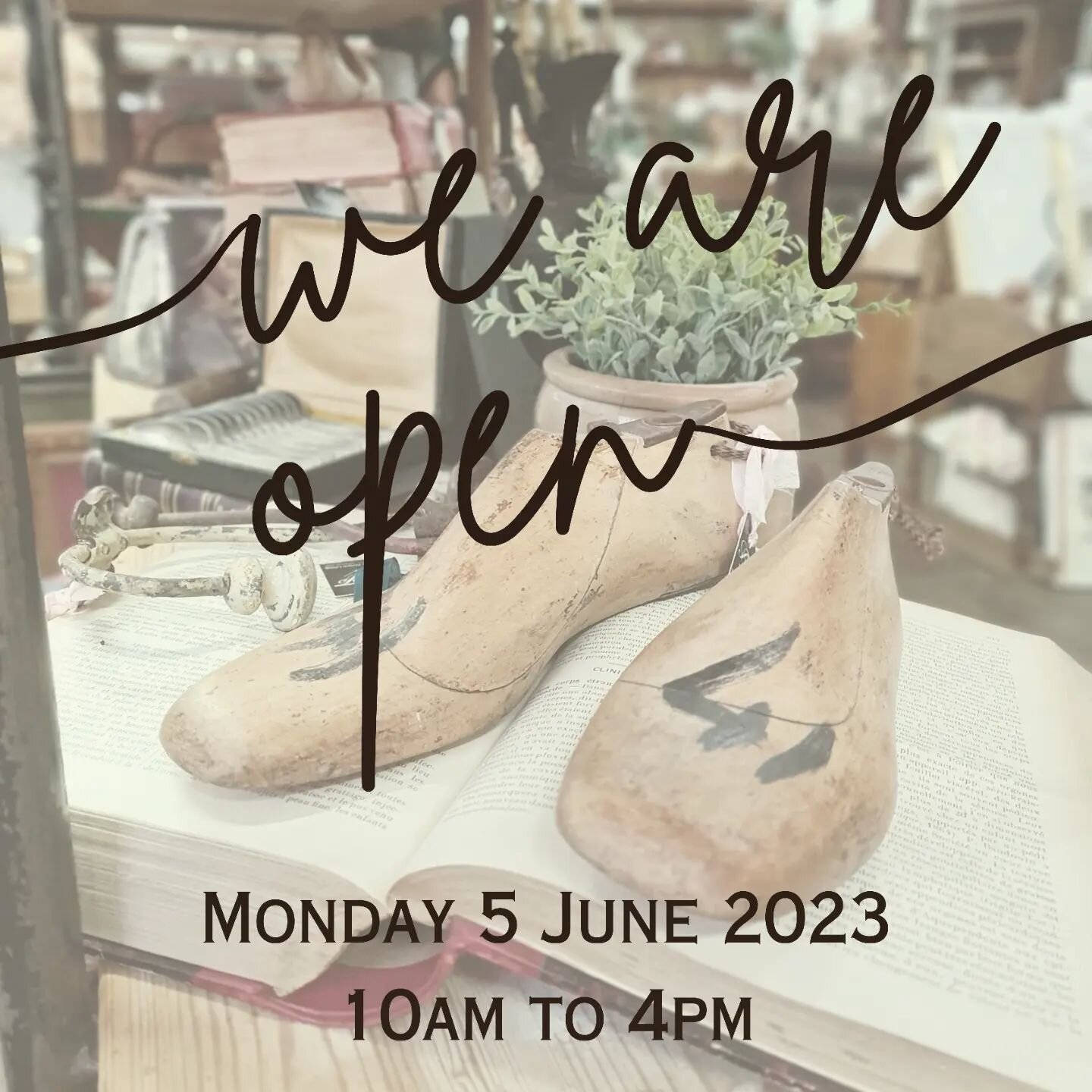 We are open Monday from 10am to 4pm! Come in for a warm coffee and a browse🌸