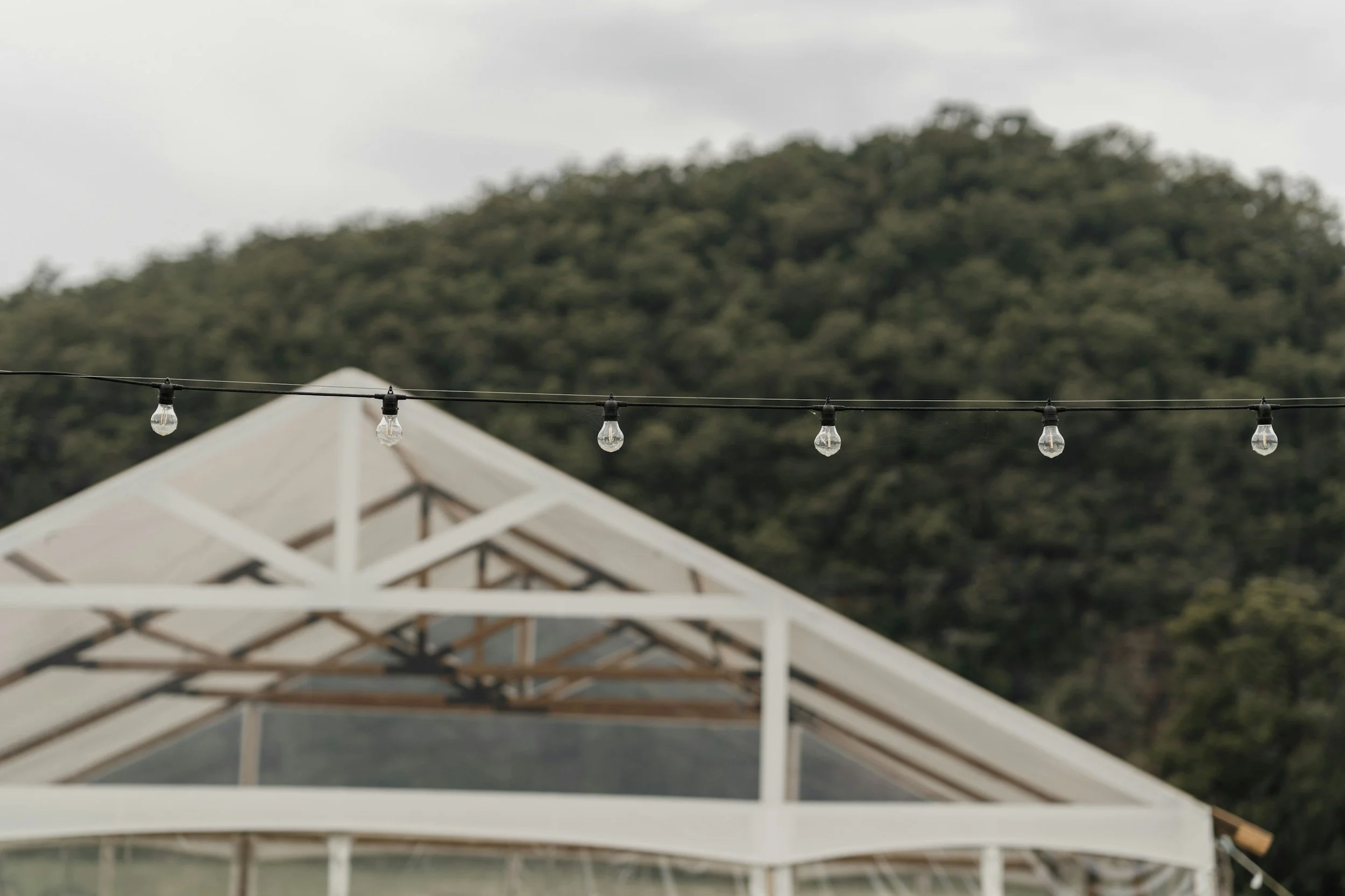 unsplash-image-raGR2O1jaz8.jpg