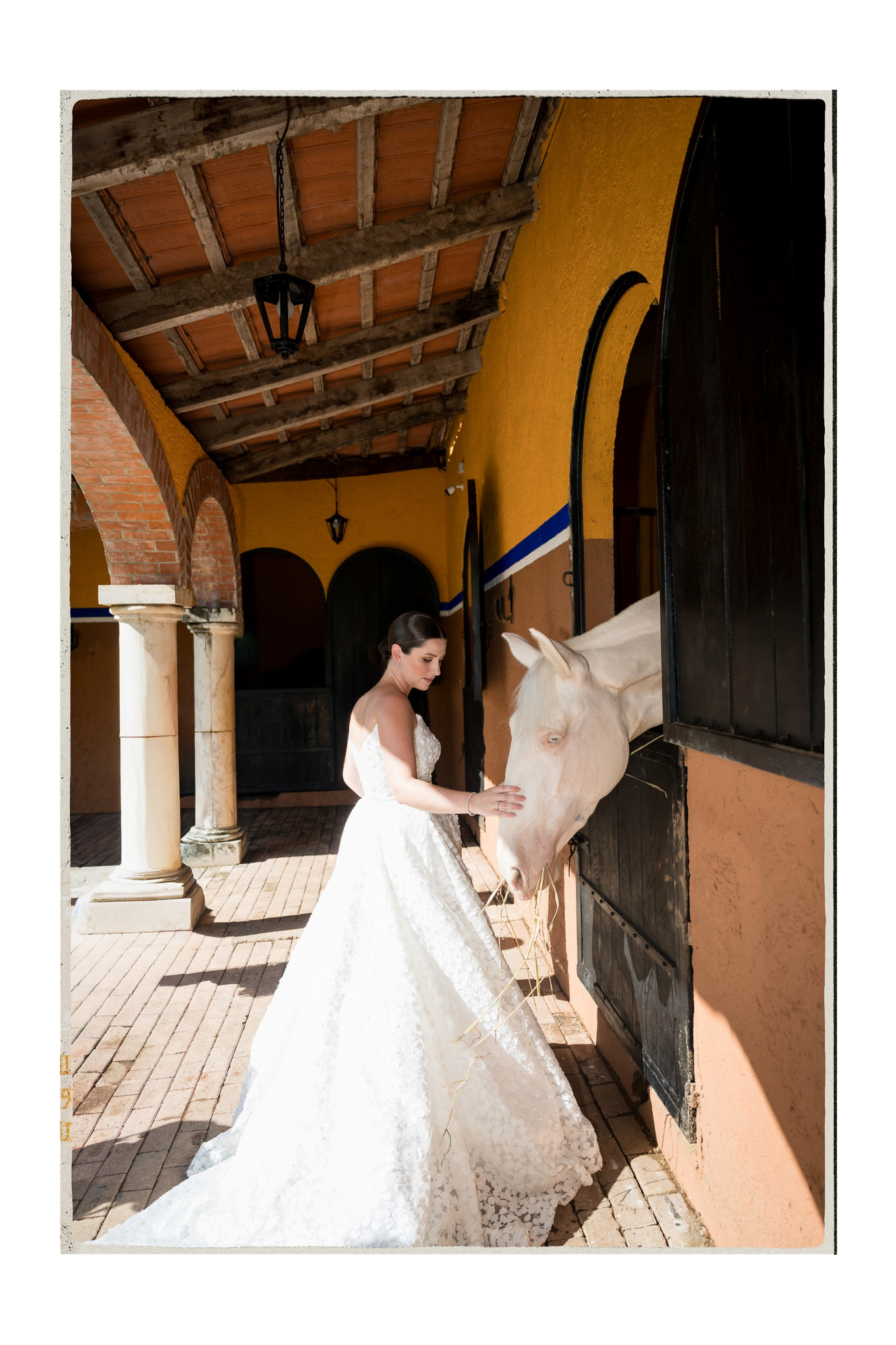 bridal-portraits-horses-editorial.png