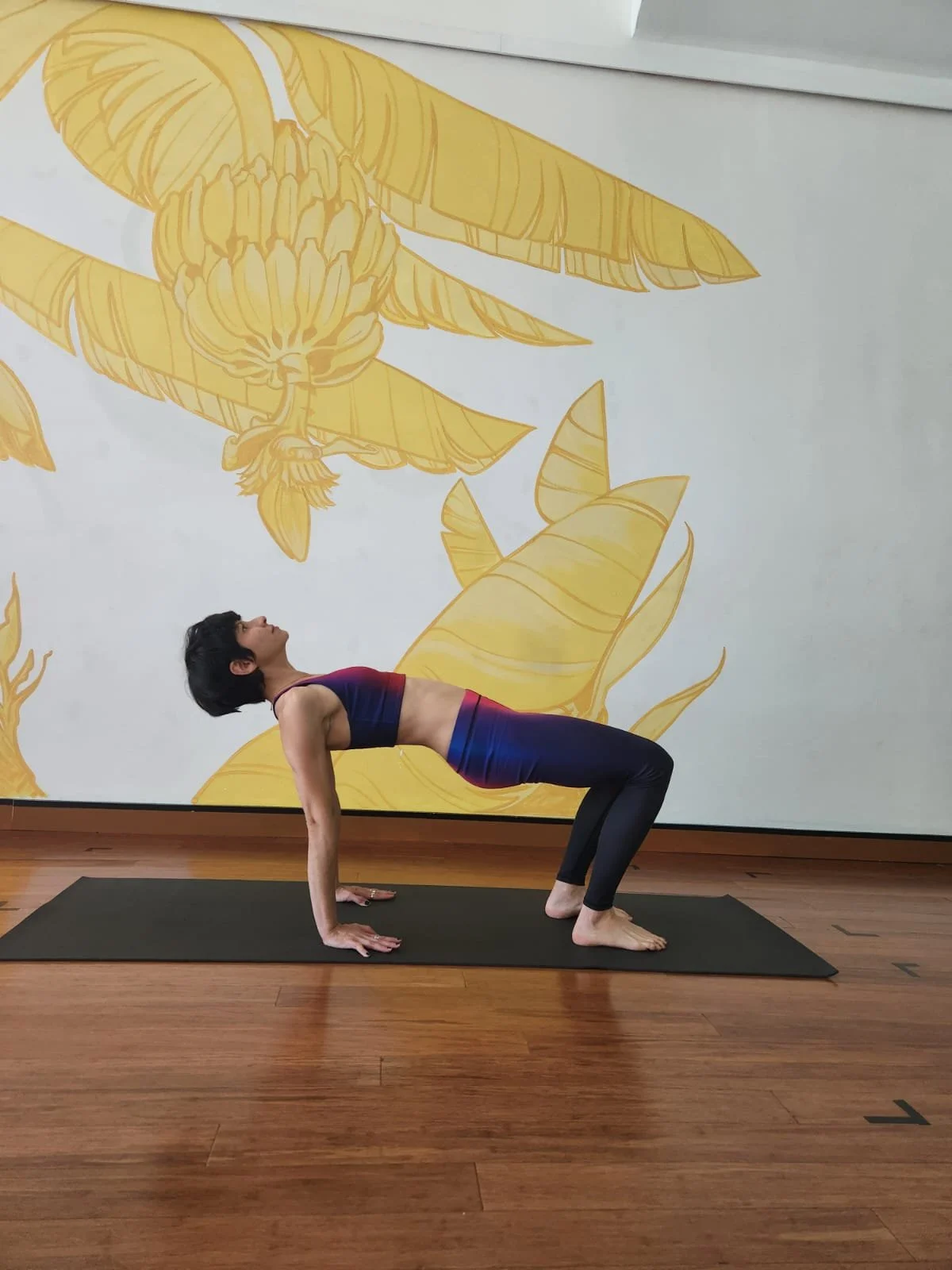 woman with a pixie haircut wearing a navy blue and pink ombre two piece yoga legging and bralette set doing a reserve plank