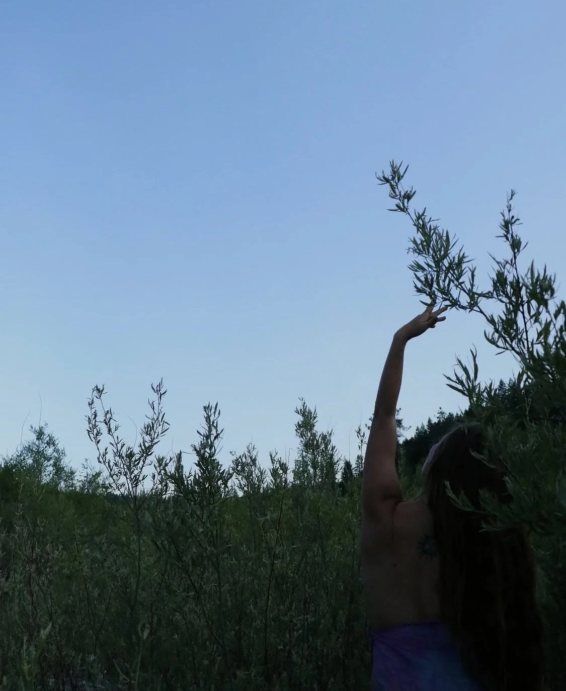 A Vessel for Vision: Somatics, Dance, and Yoga Nidra for Inner Alignment