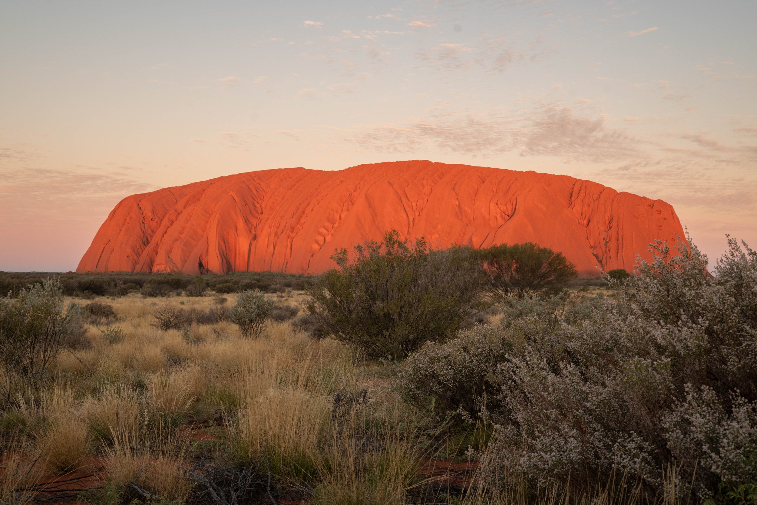 central australia 22-7920.jpg