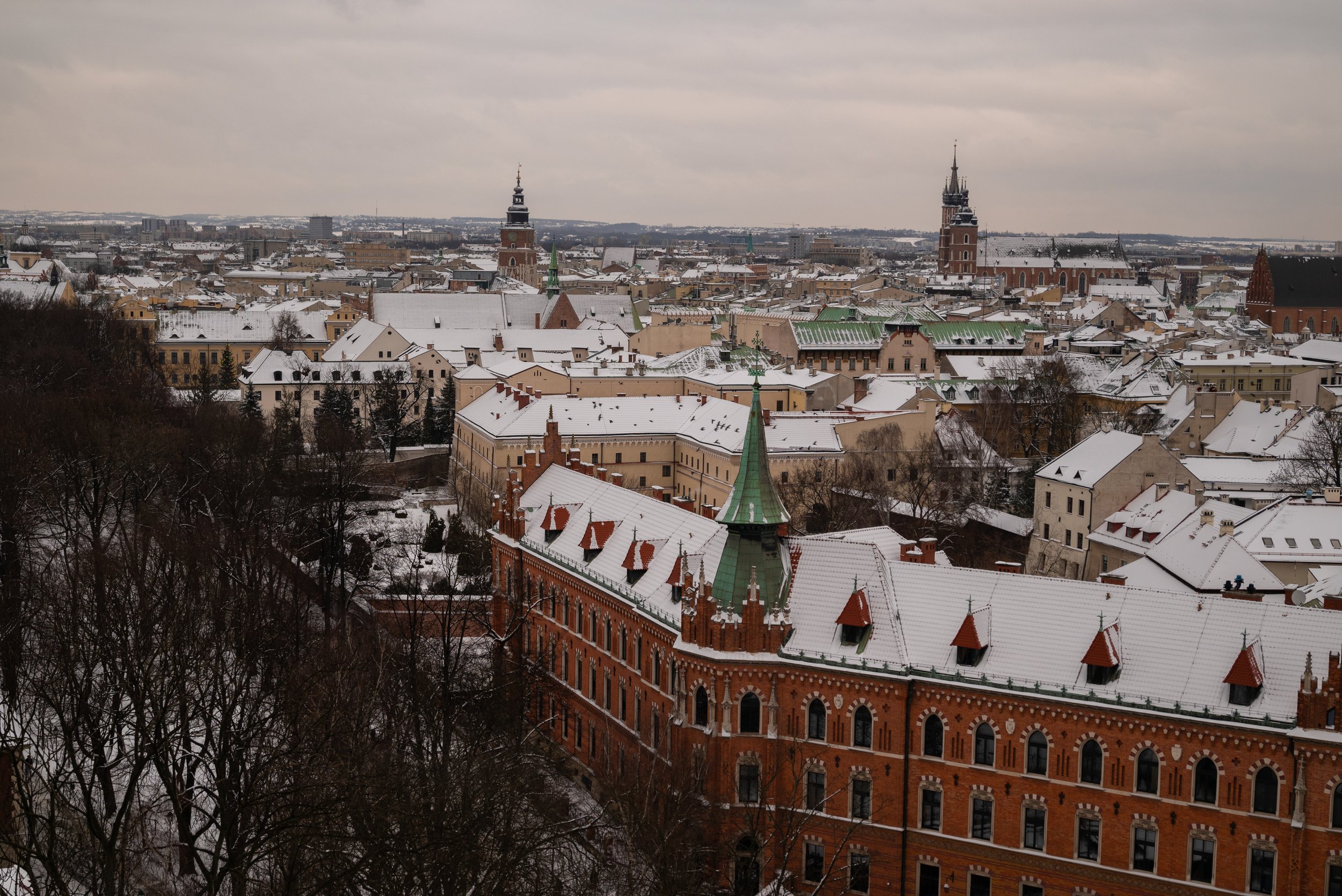 DSC_5149.jpg