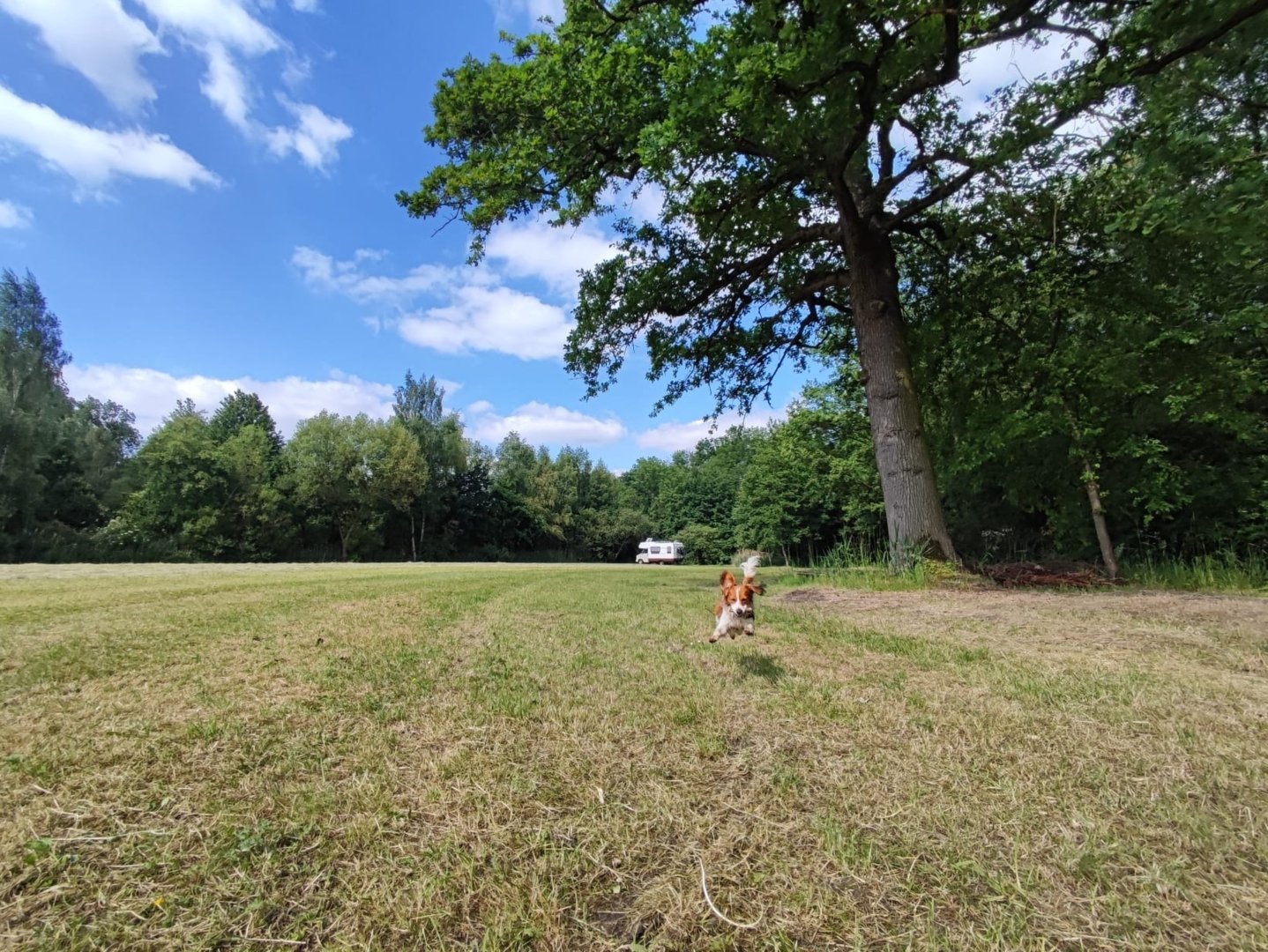 campspace camper naast rivier.jpeg