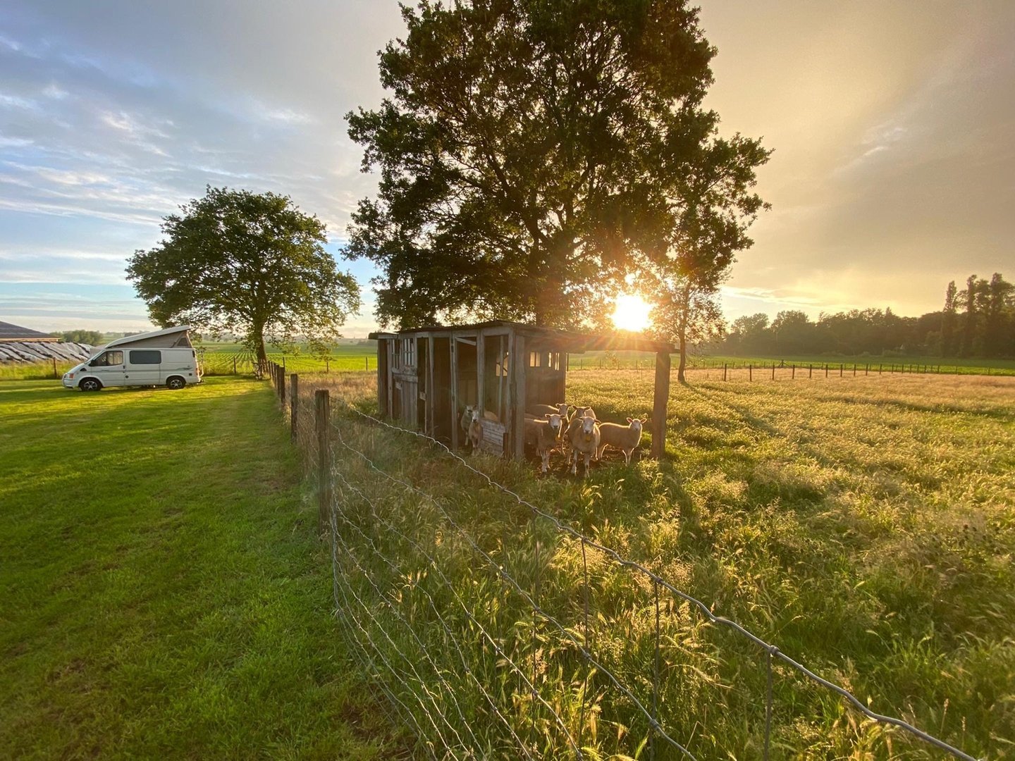 campspace aartrijke.jpeg