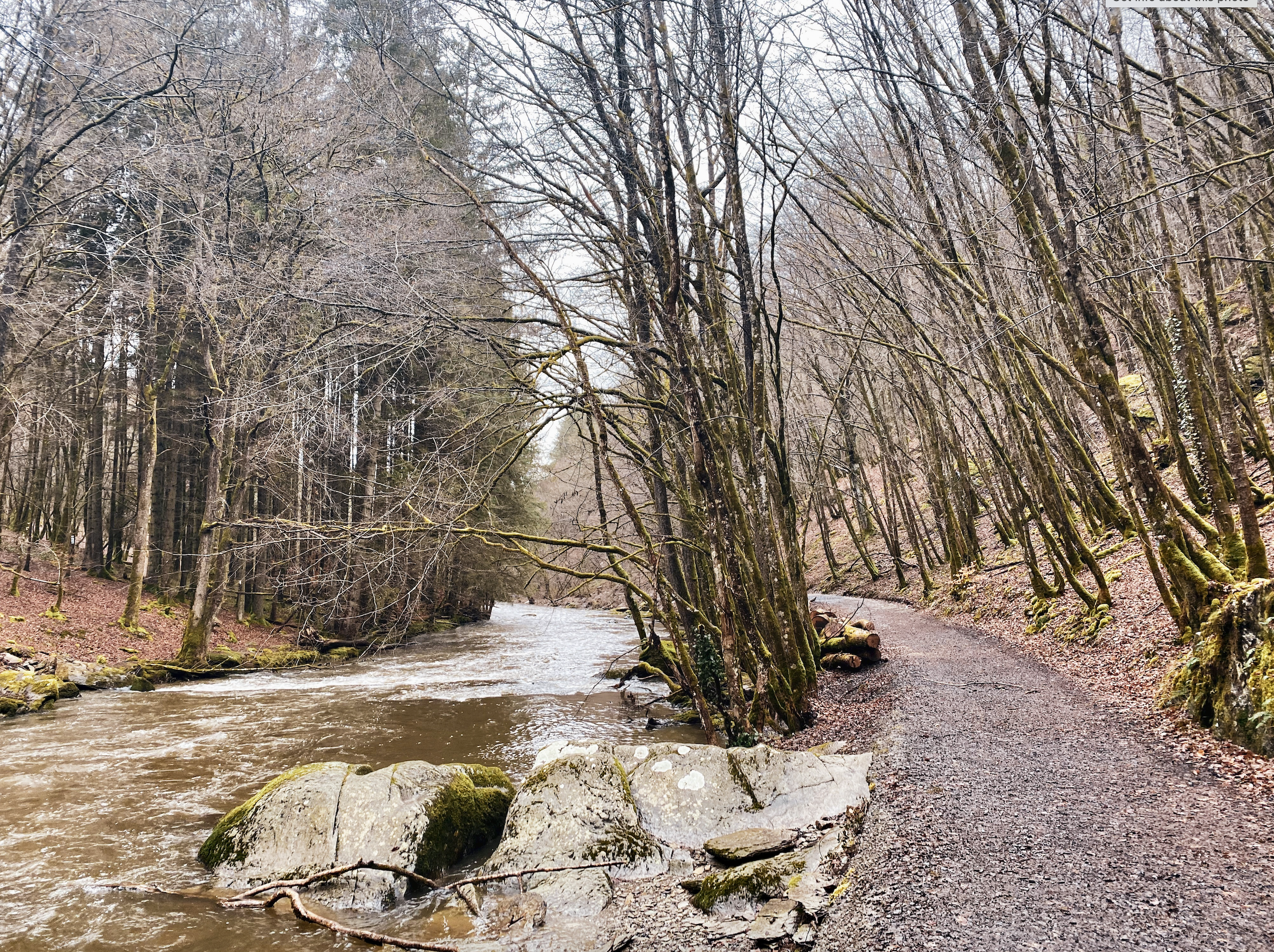 wandelen langs water entre lesse et lomme.png