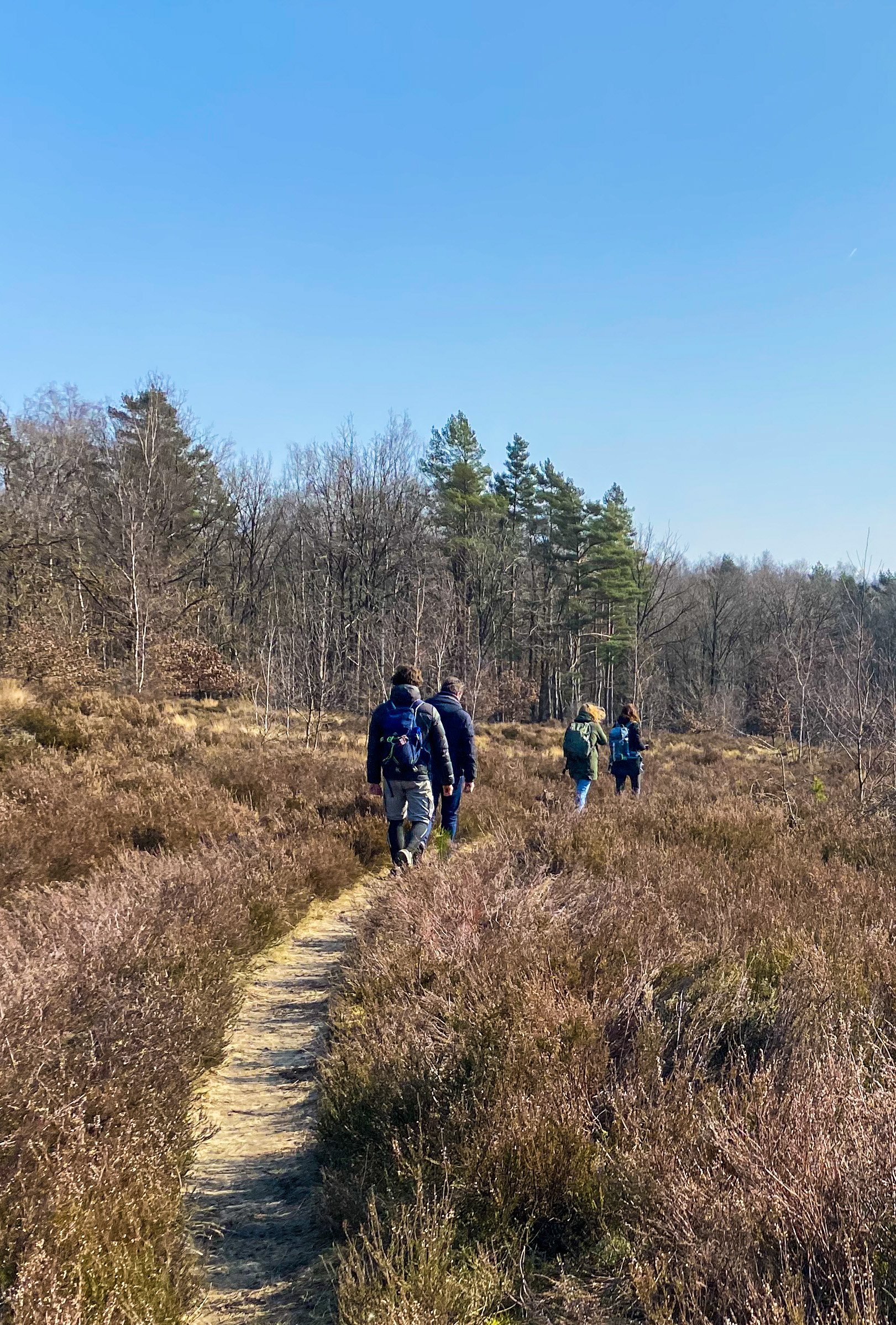 wandelen thor park genk.JPG