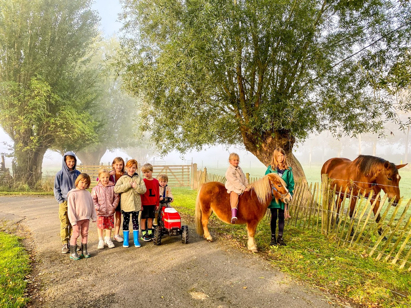 hof ter lo boerderijvakantie.png